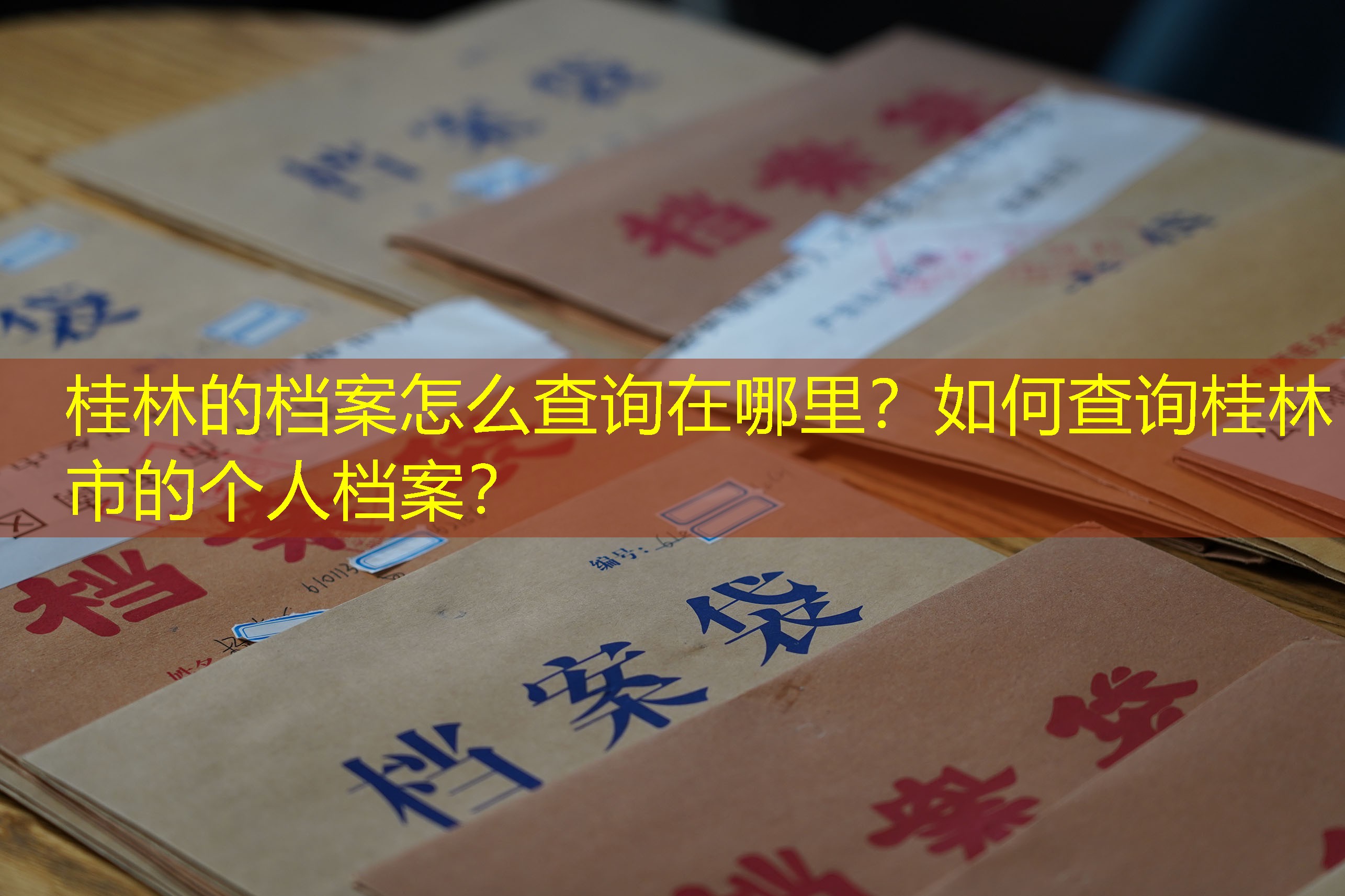 档案查询