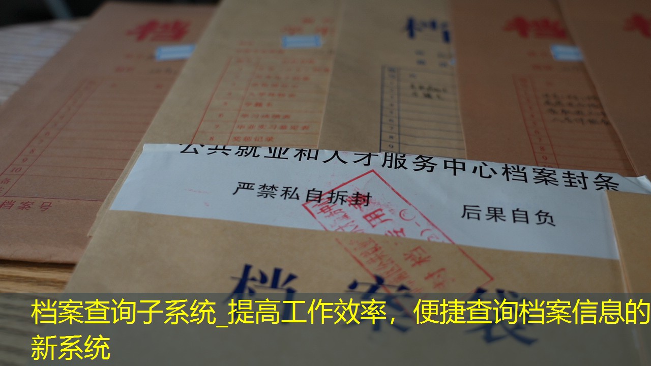档案查询