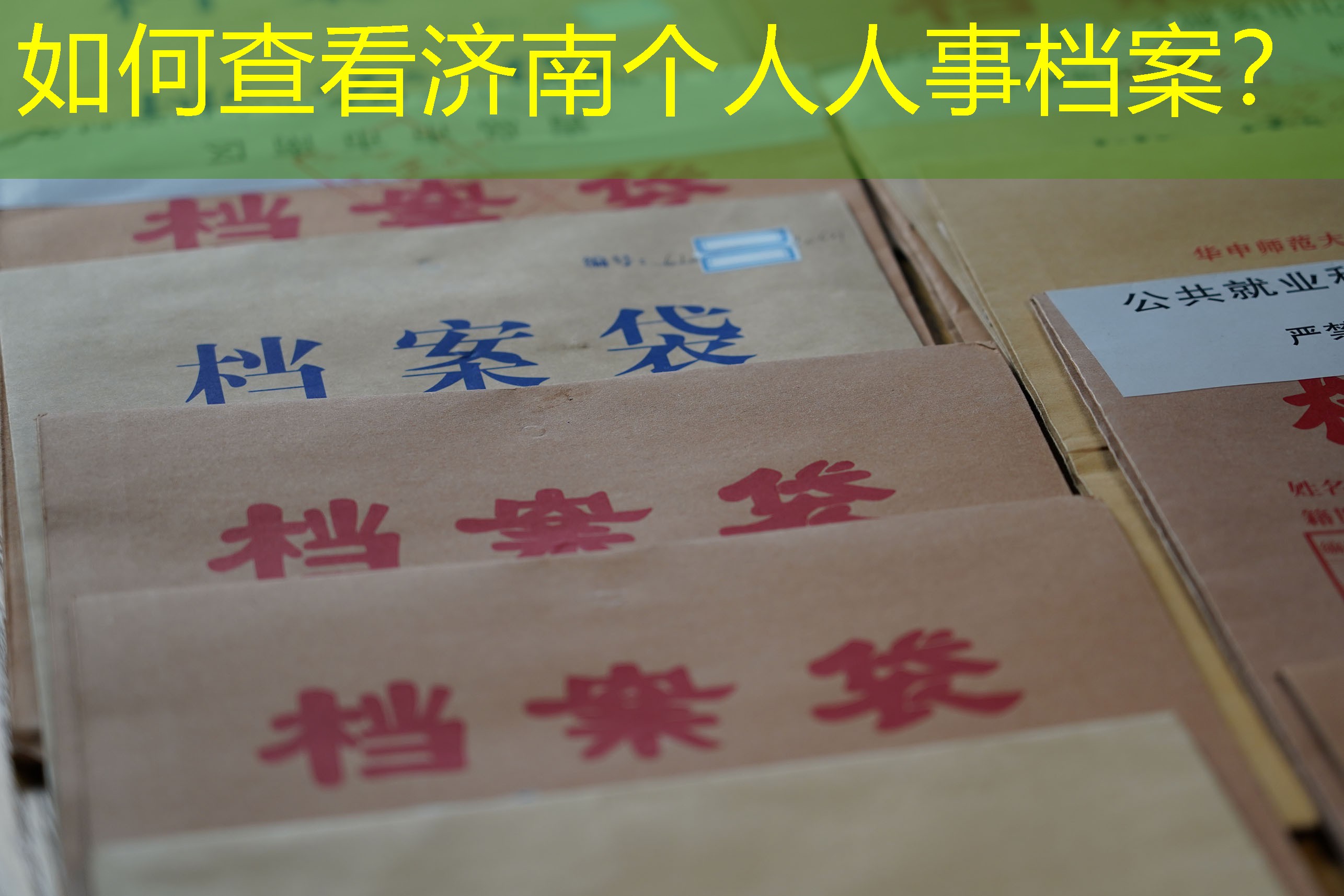 档案查询