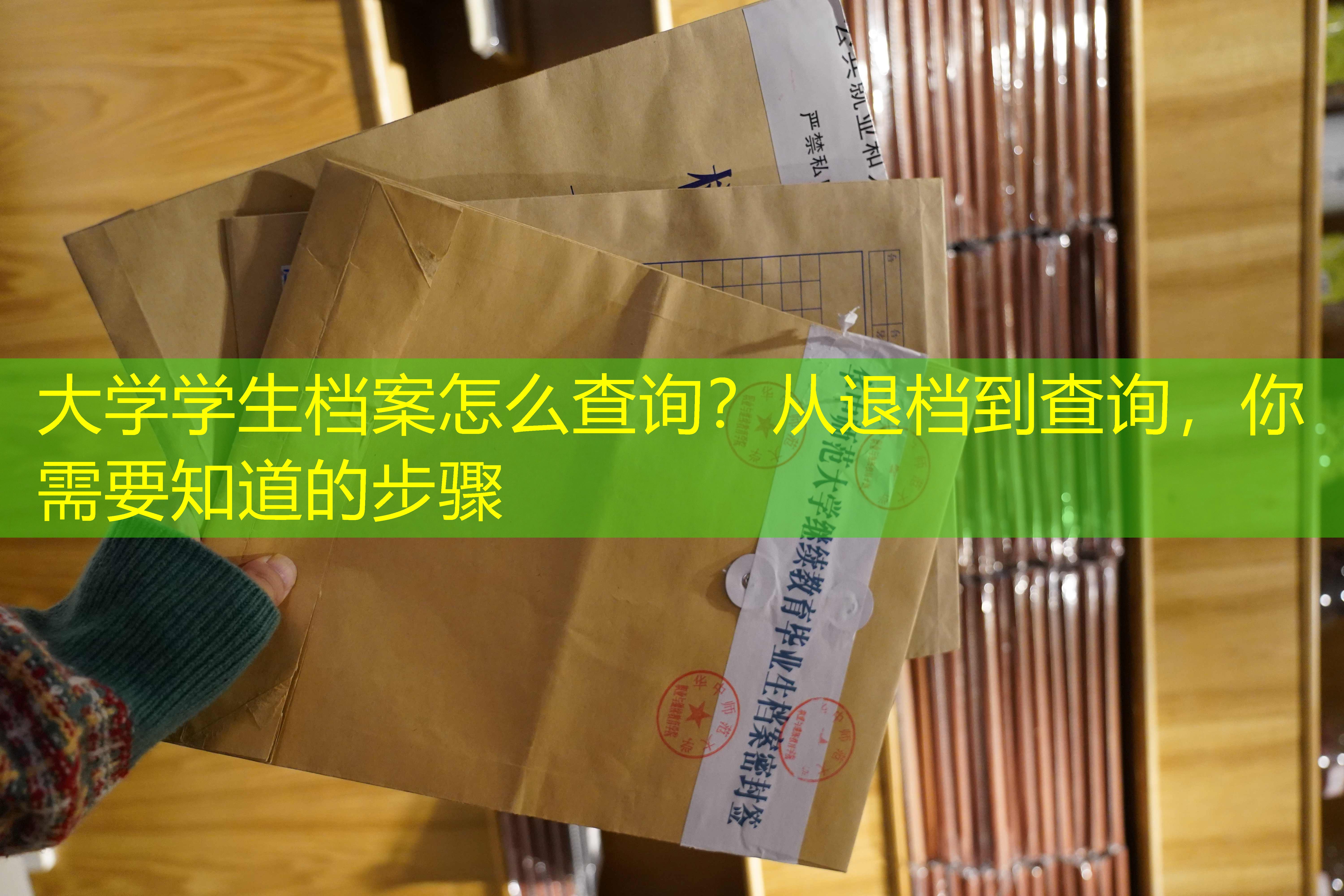 档案查询