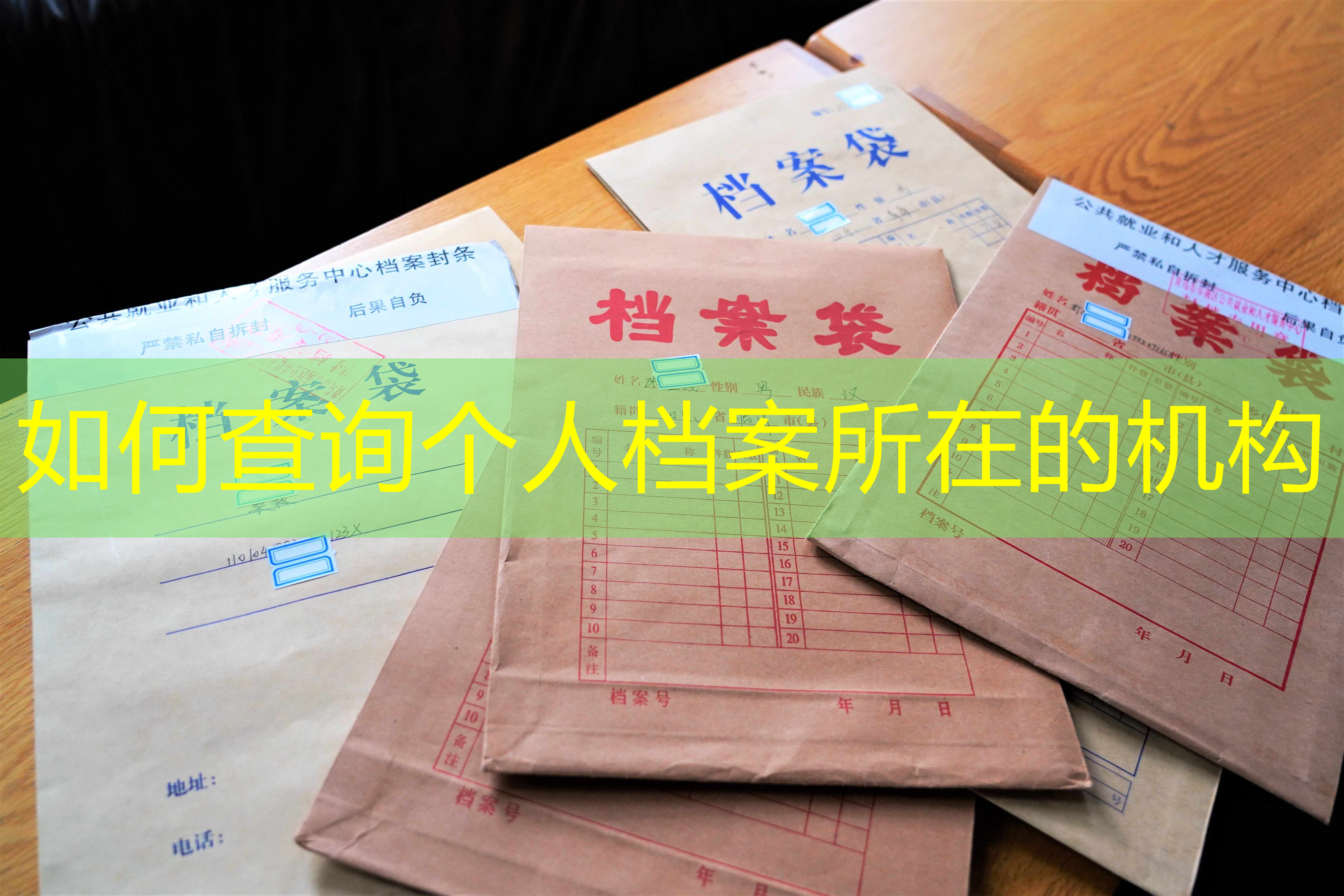 档案查询
