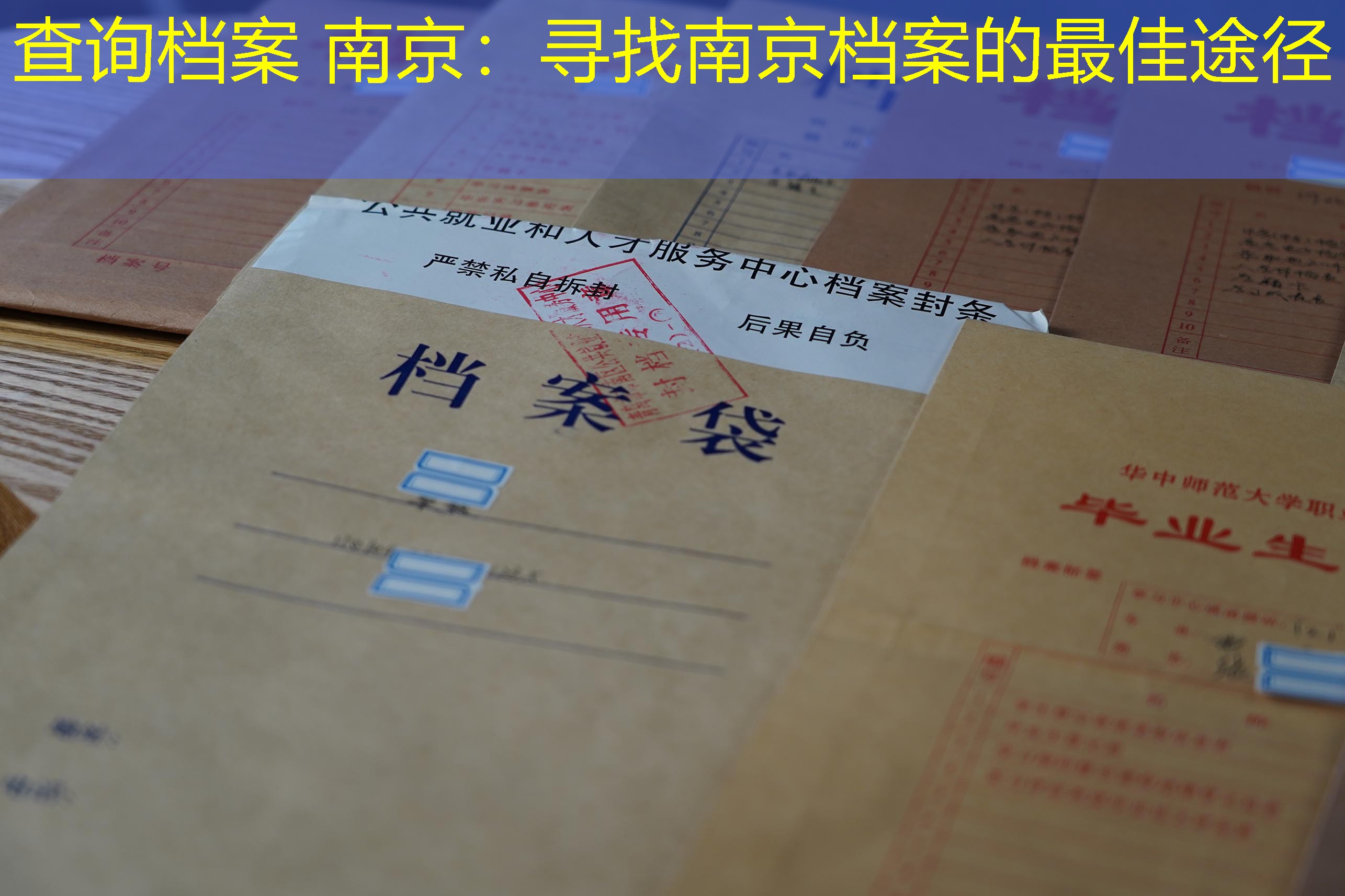 档案查询