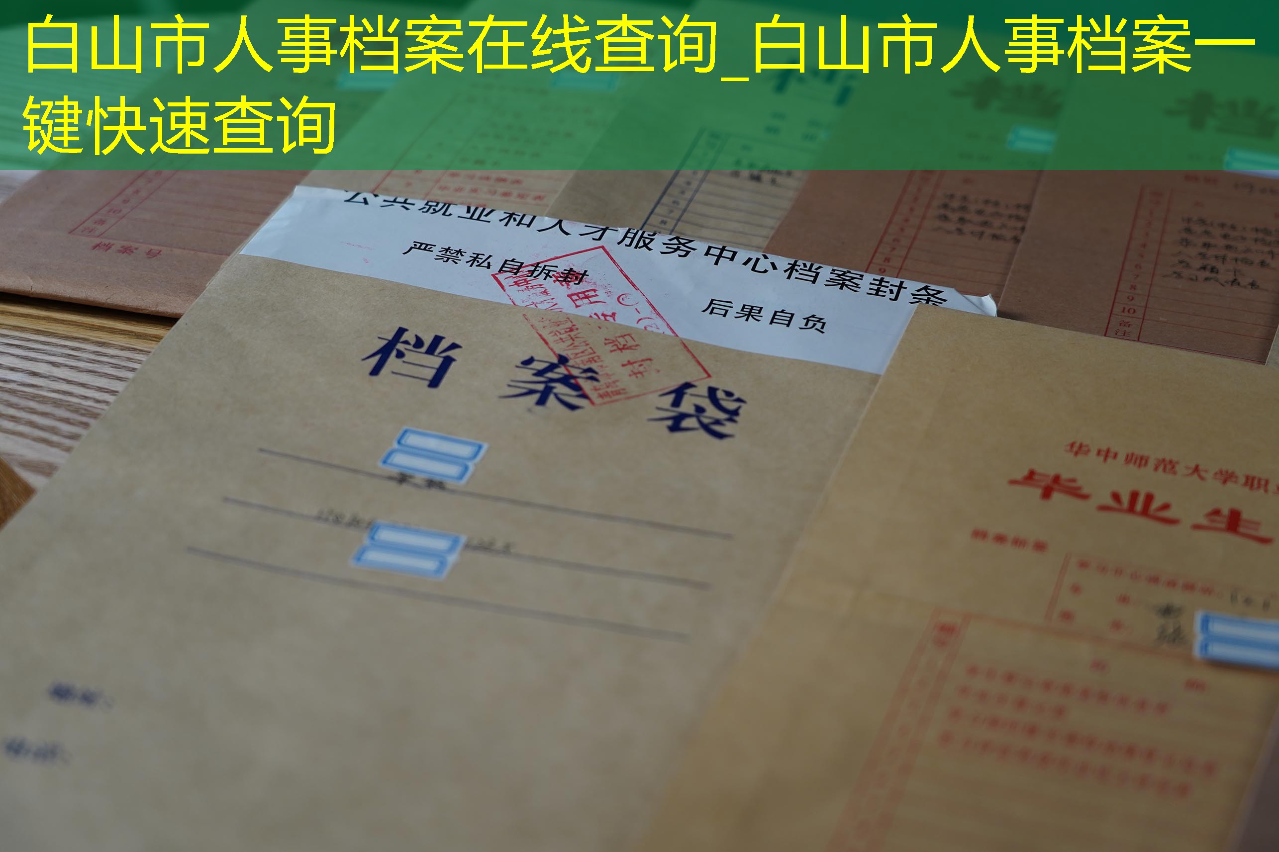 档案查询