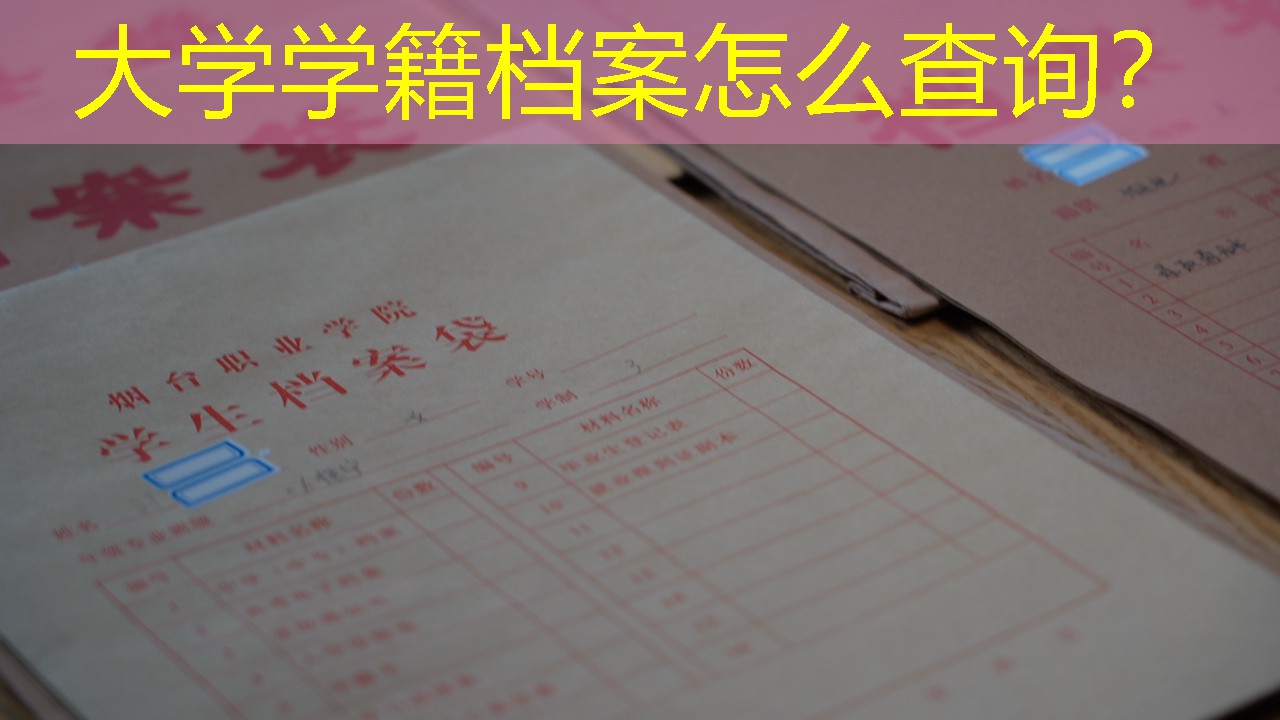 档案查询