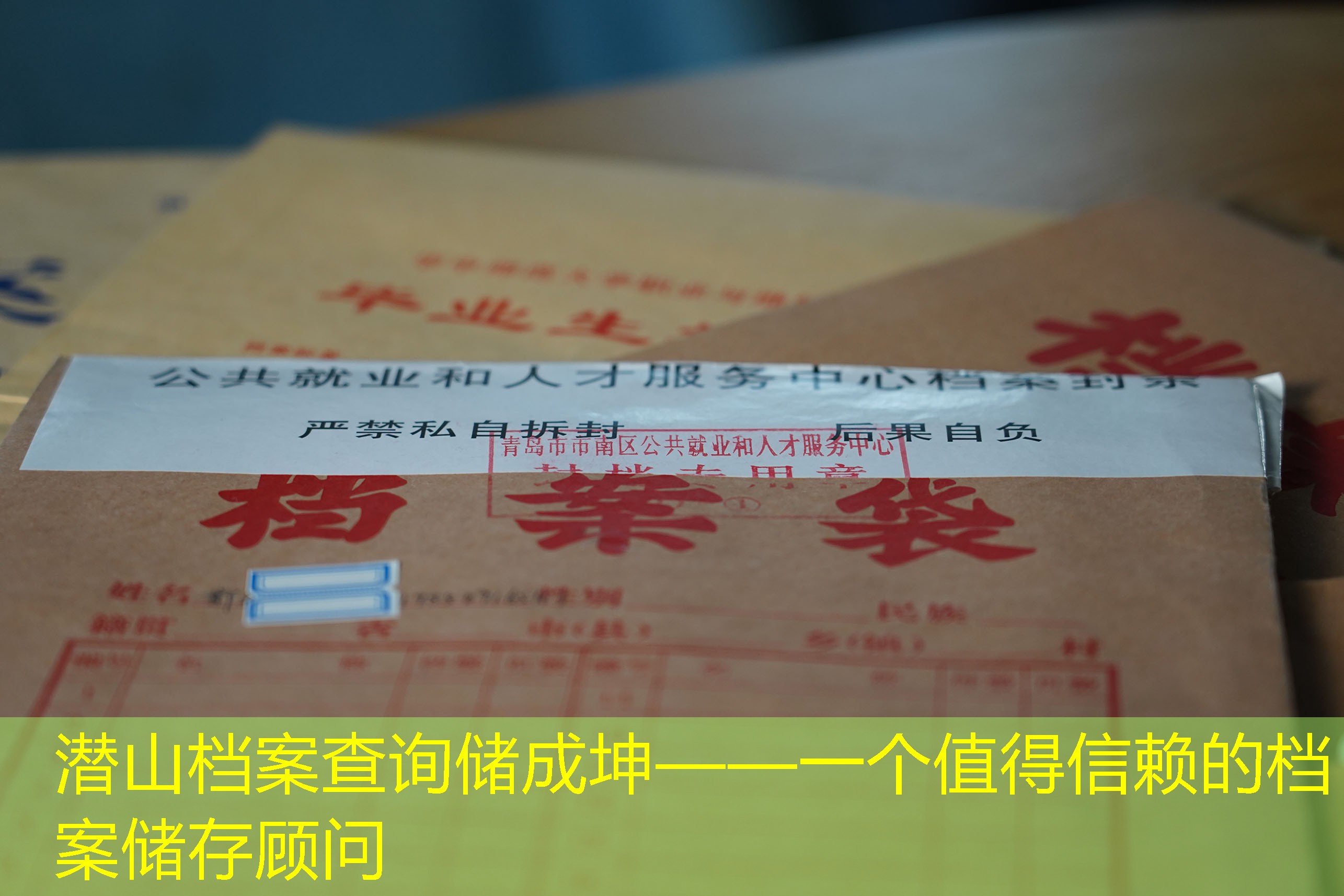 档案查询