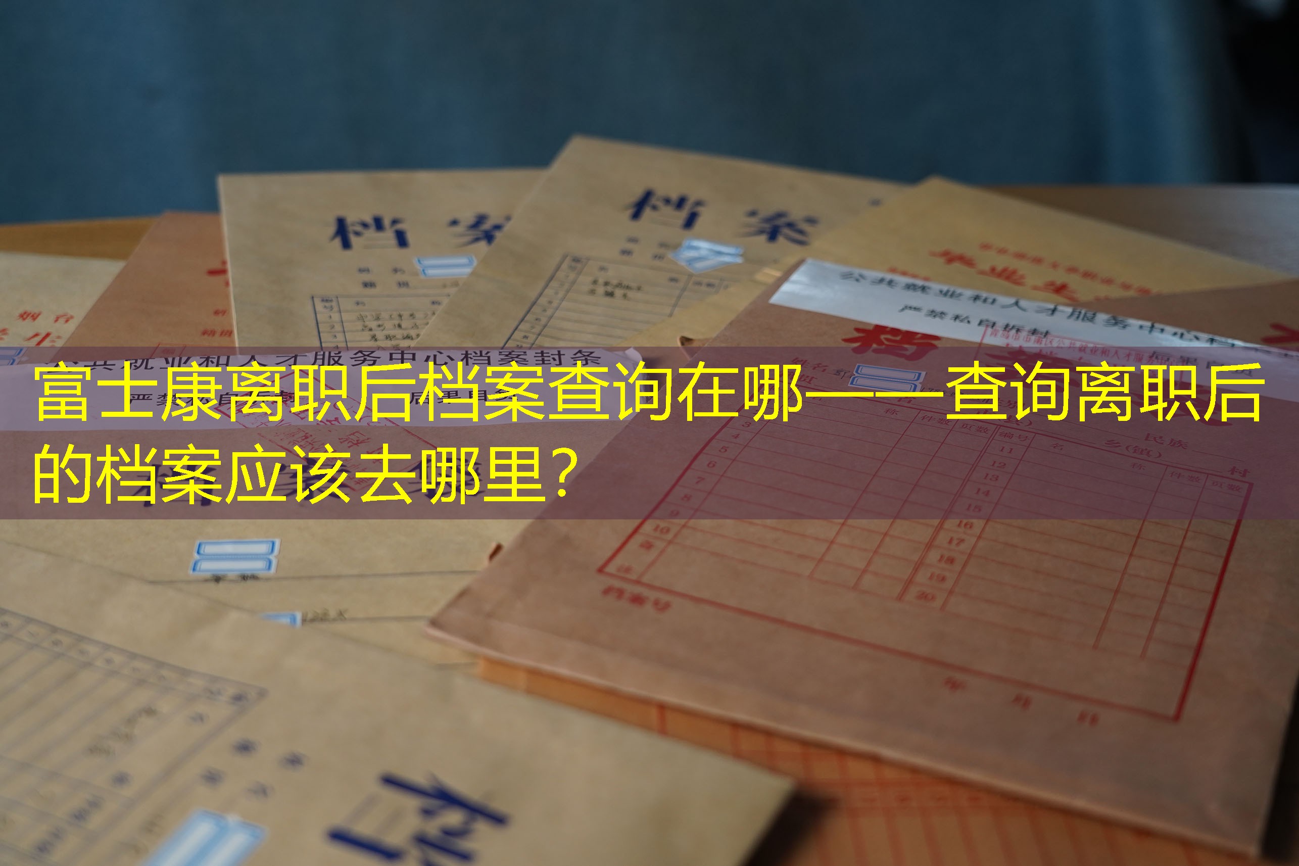 档案查询