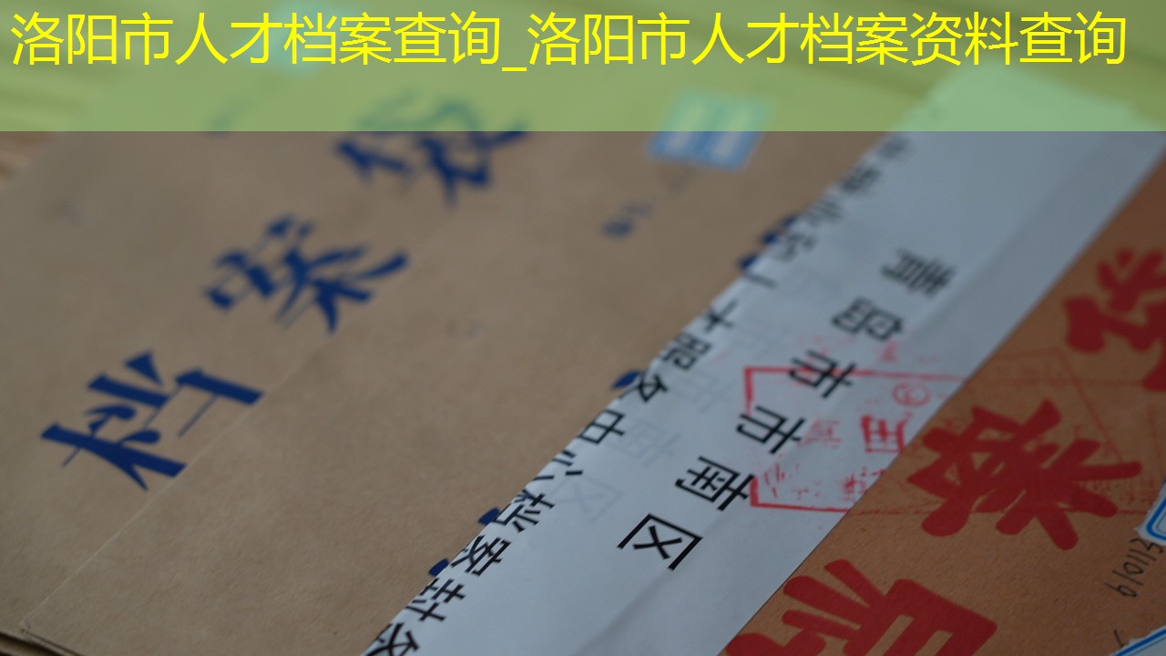 档案查询