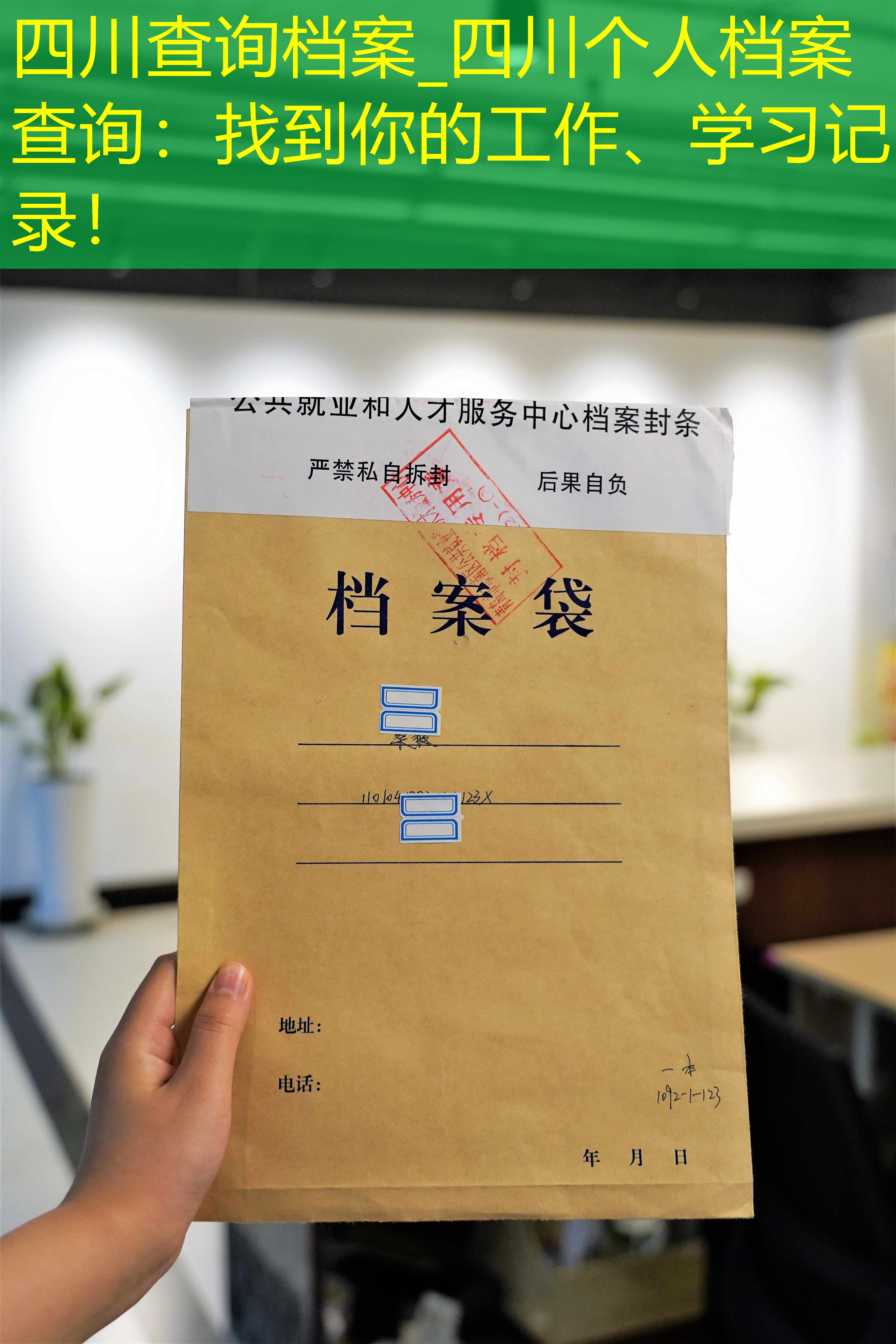 档案查询