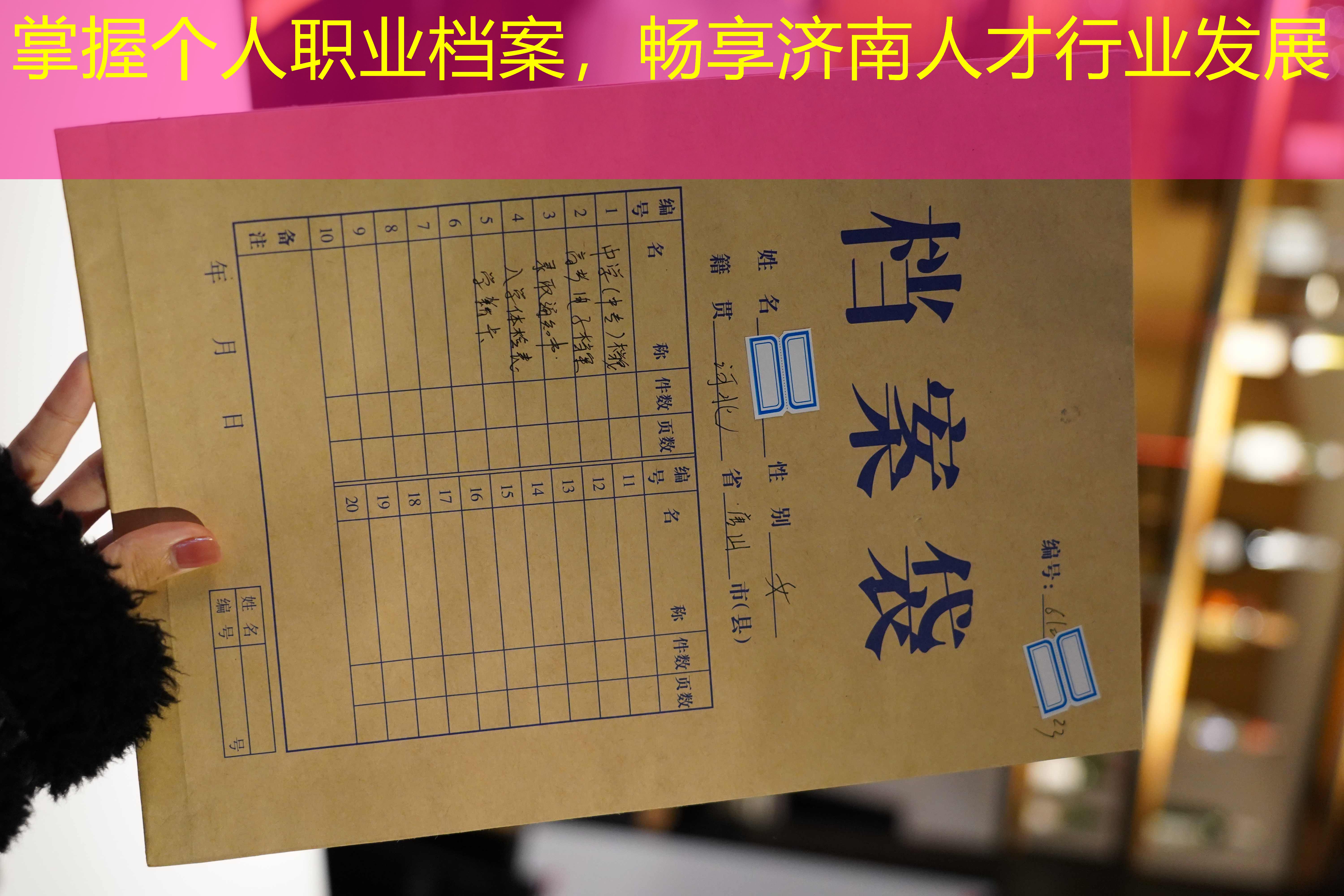 档案查询