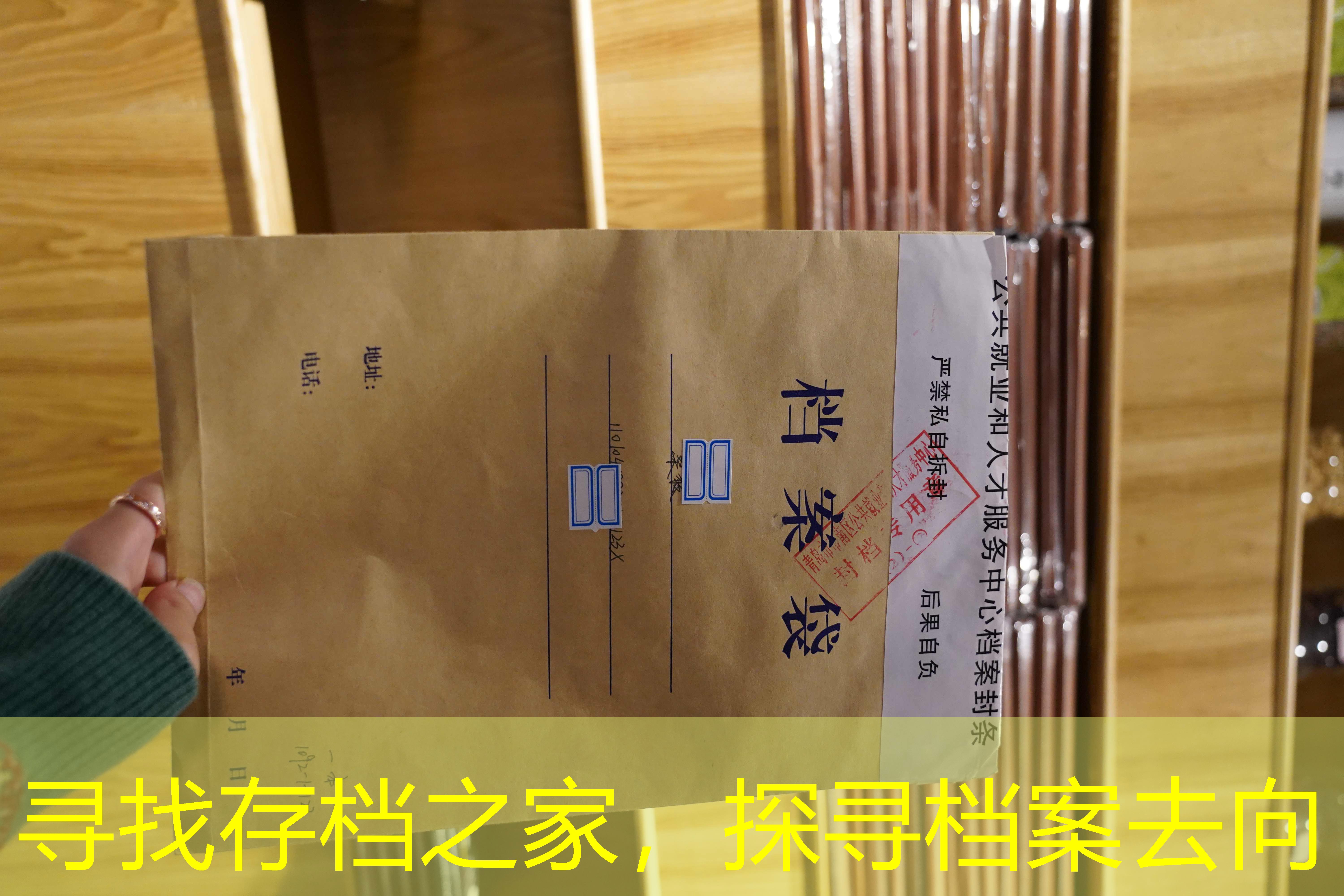 档案查询