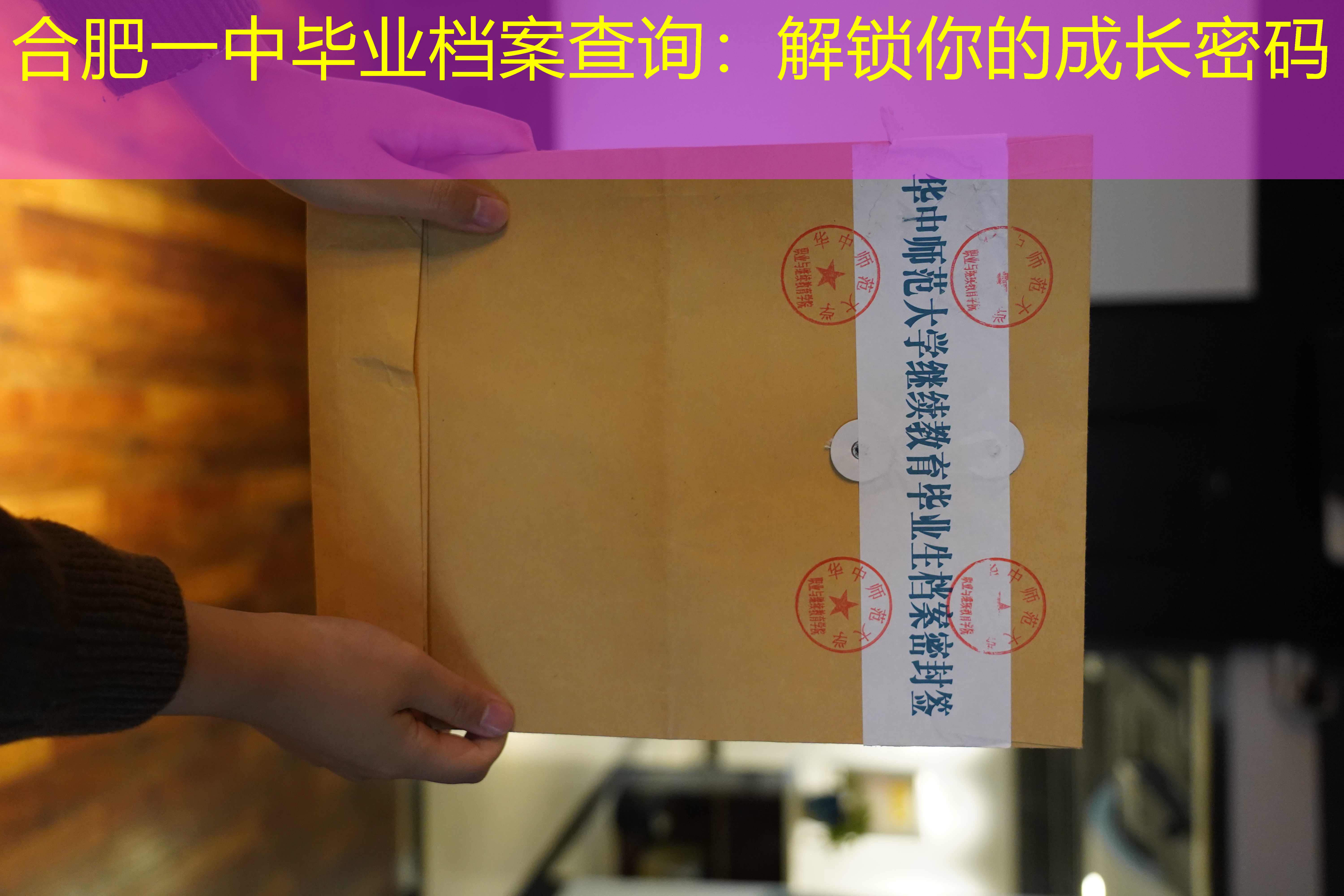 档案查询