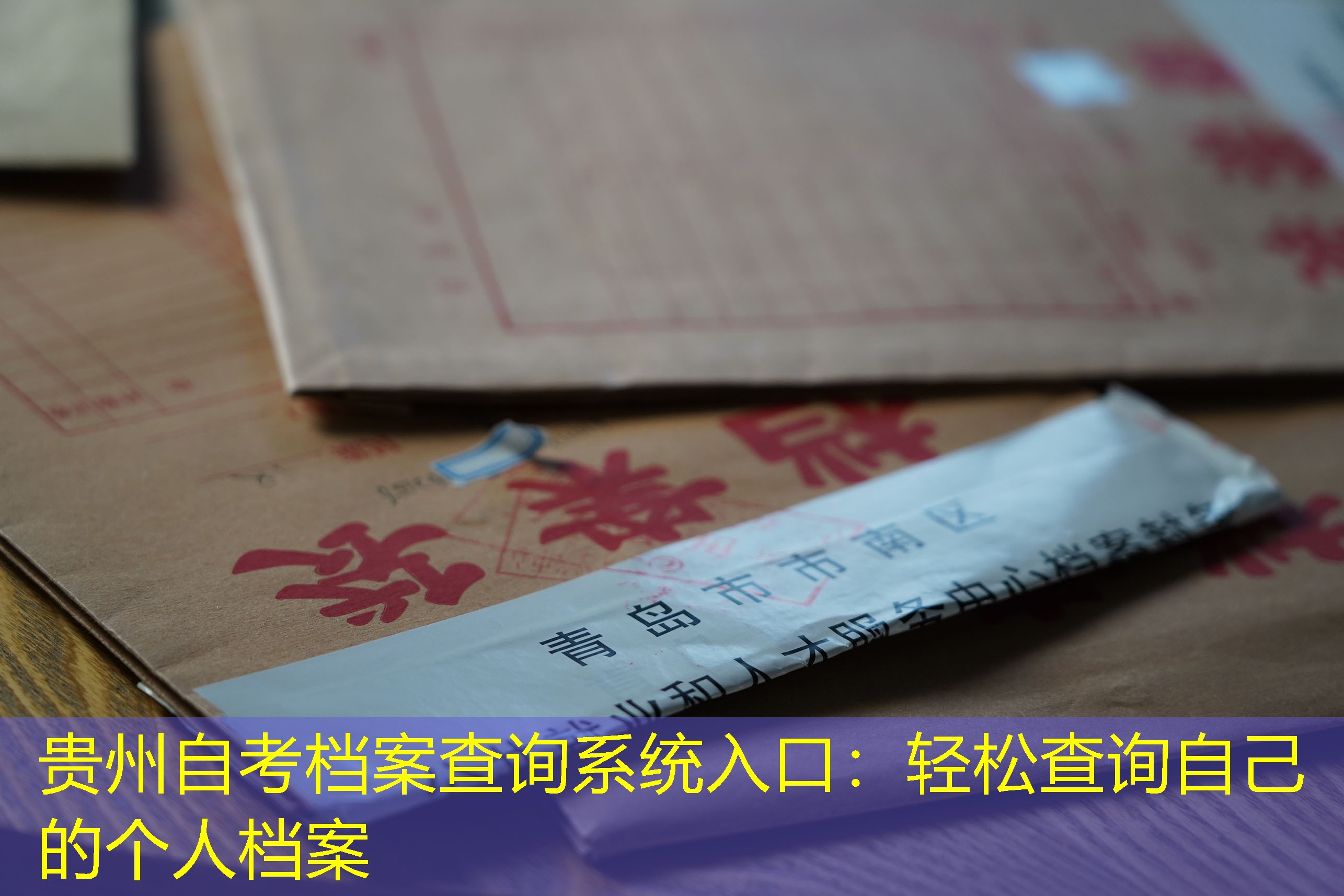 档案查询