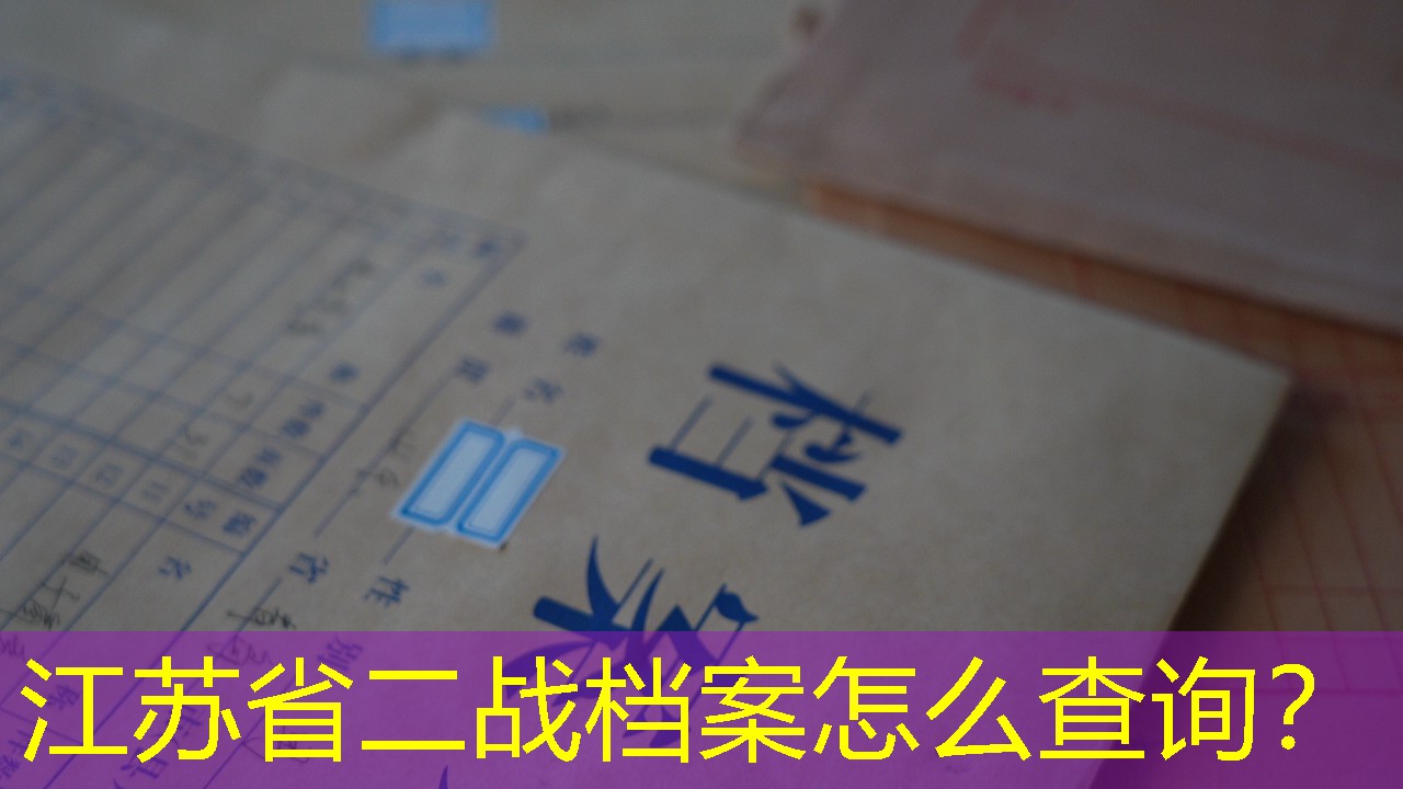 档案查询