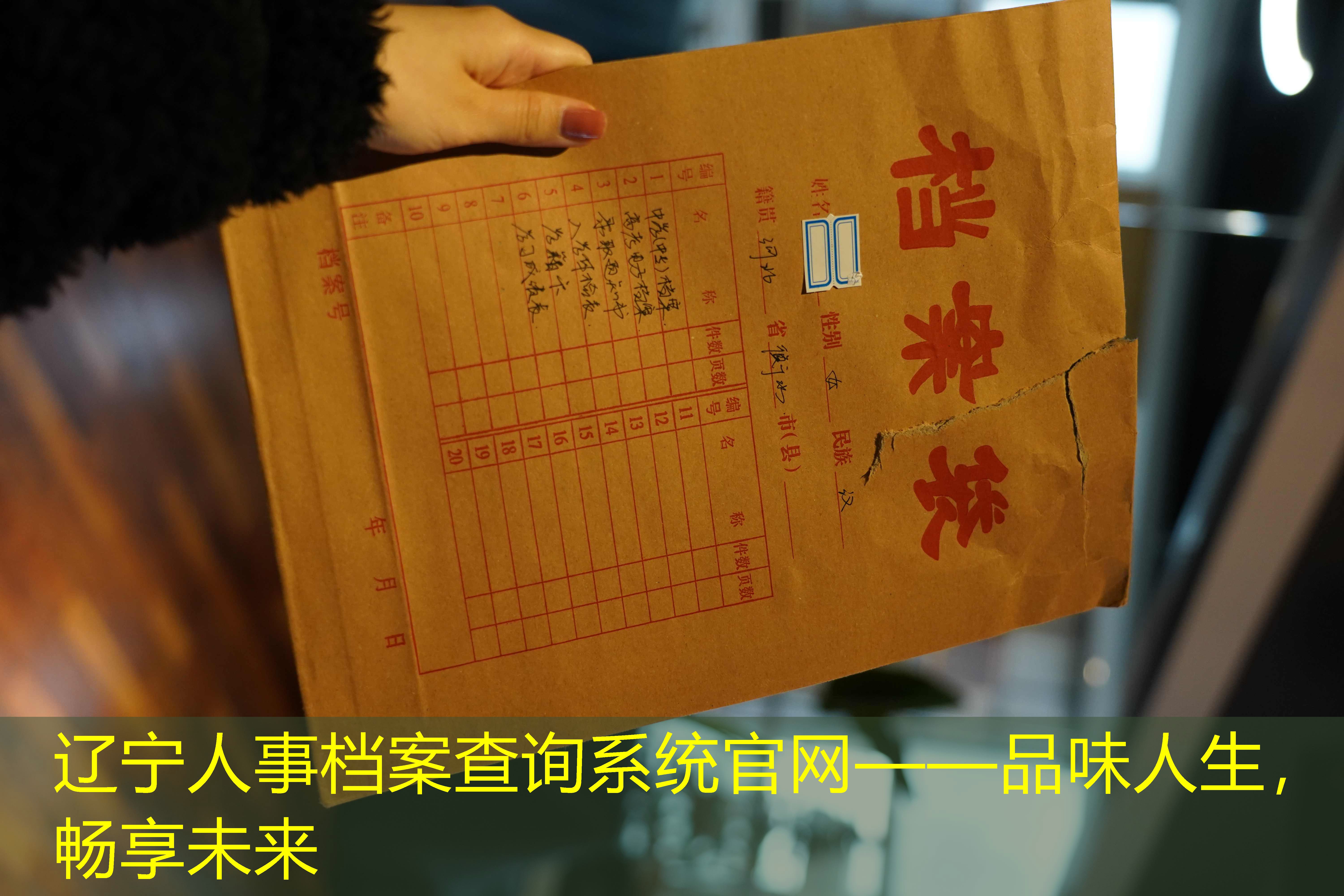 档案查询
