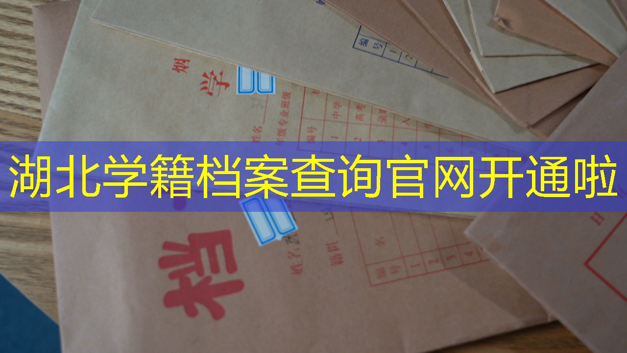 档案查询