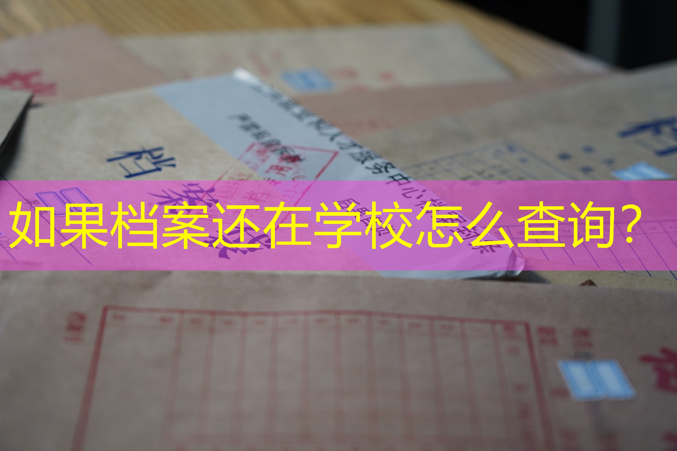 档案查询