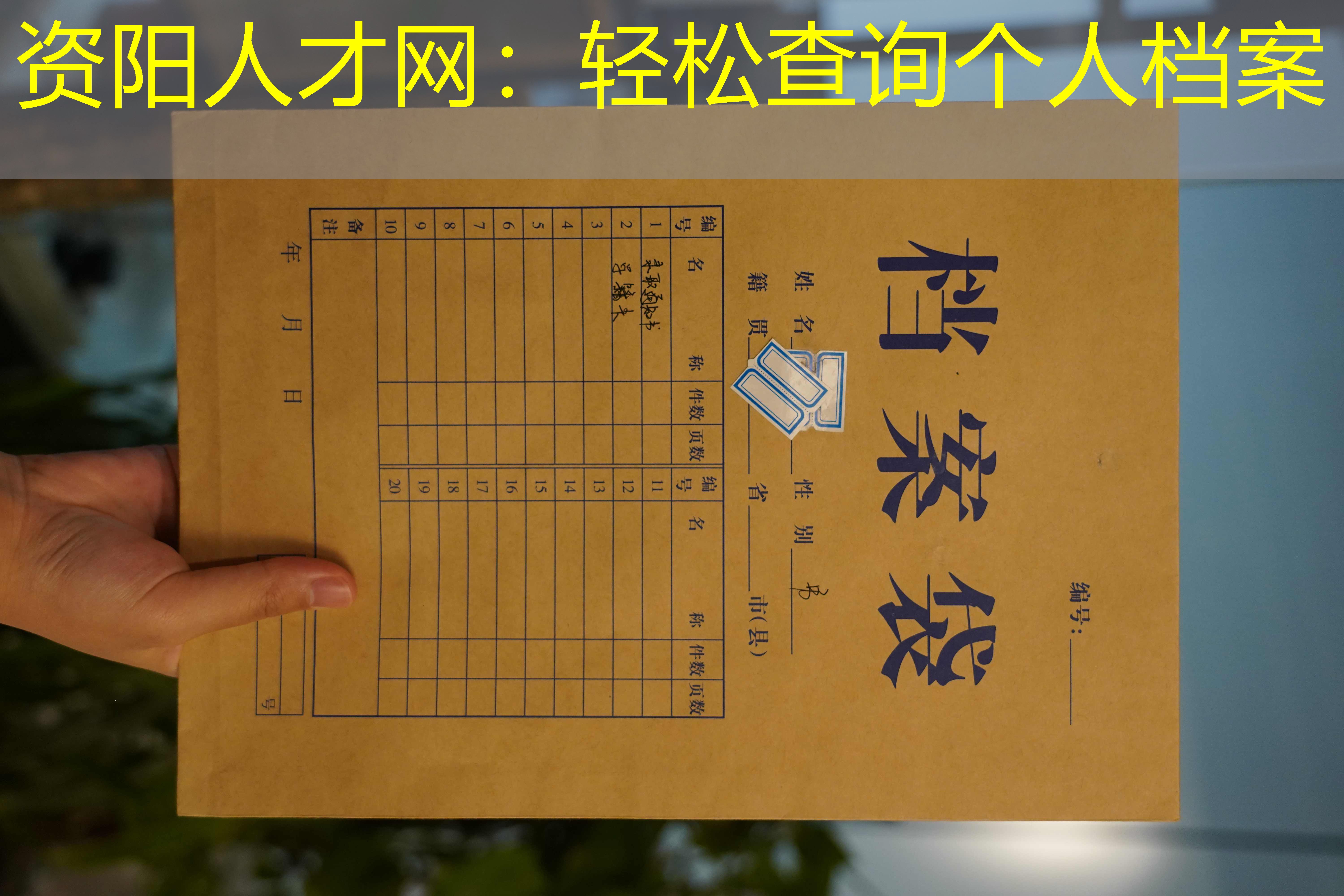 档案查询