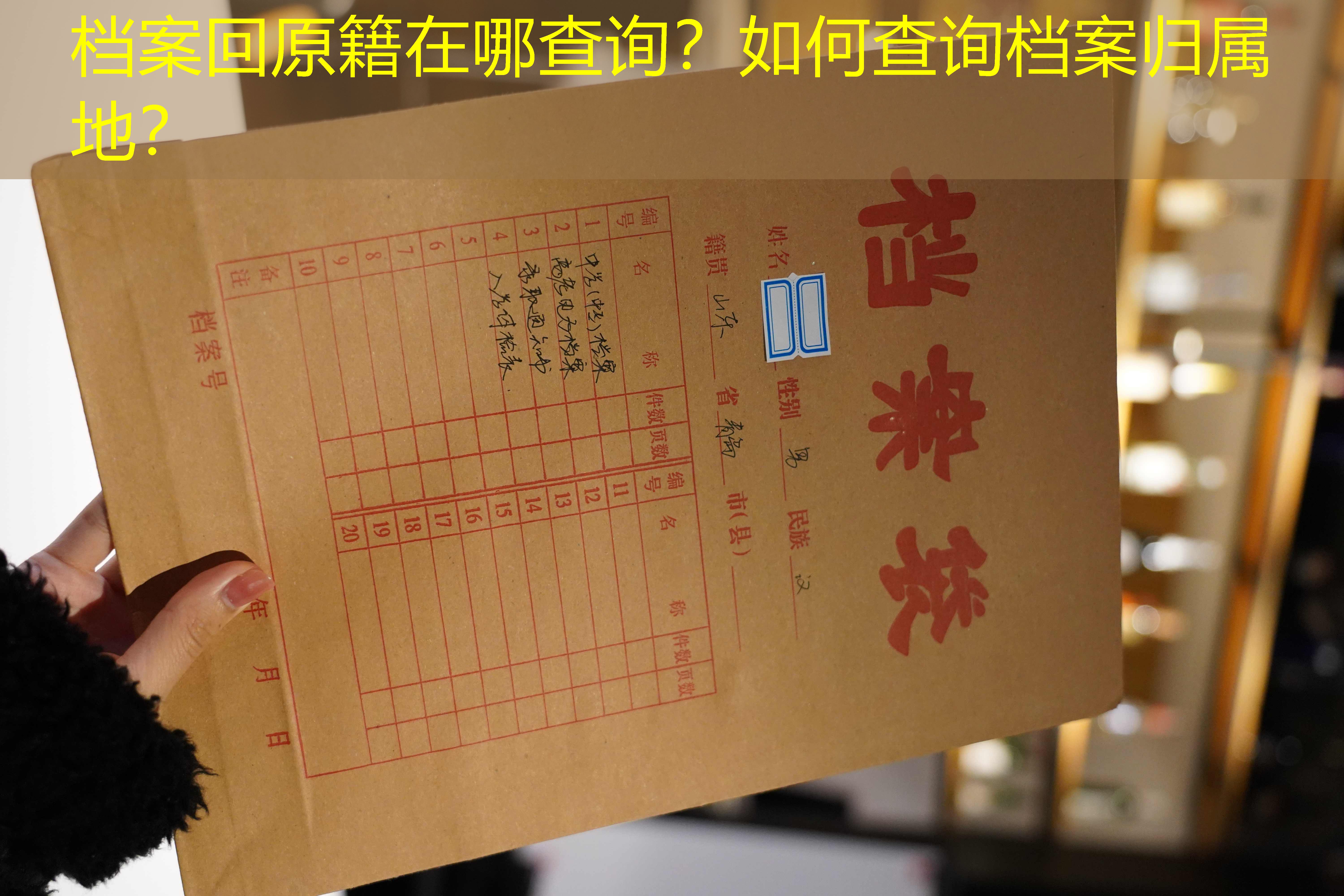 档案查询
