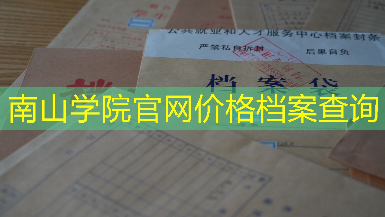 档案查询
