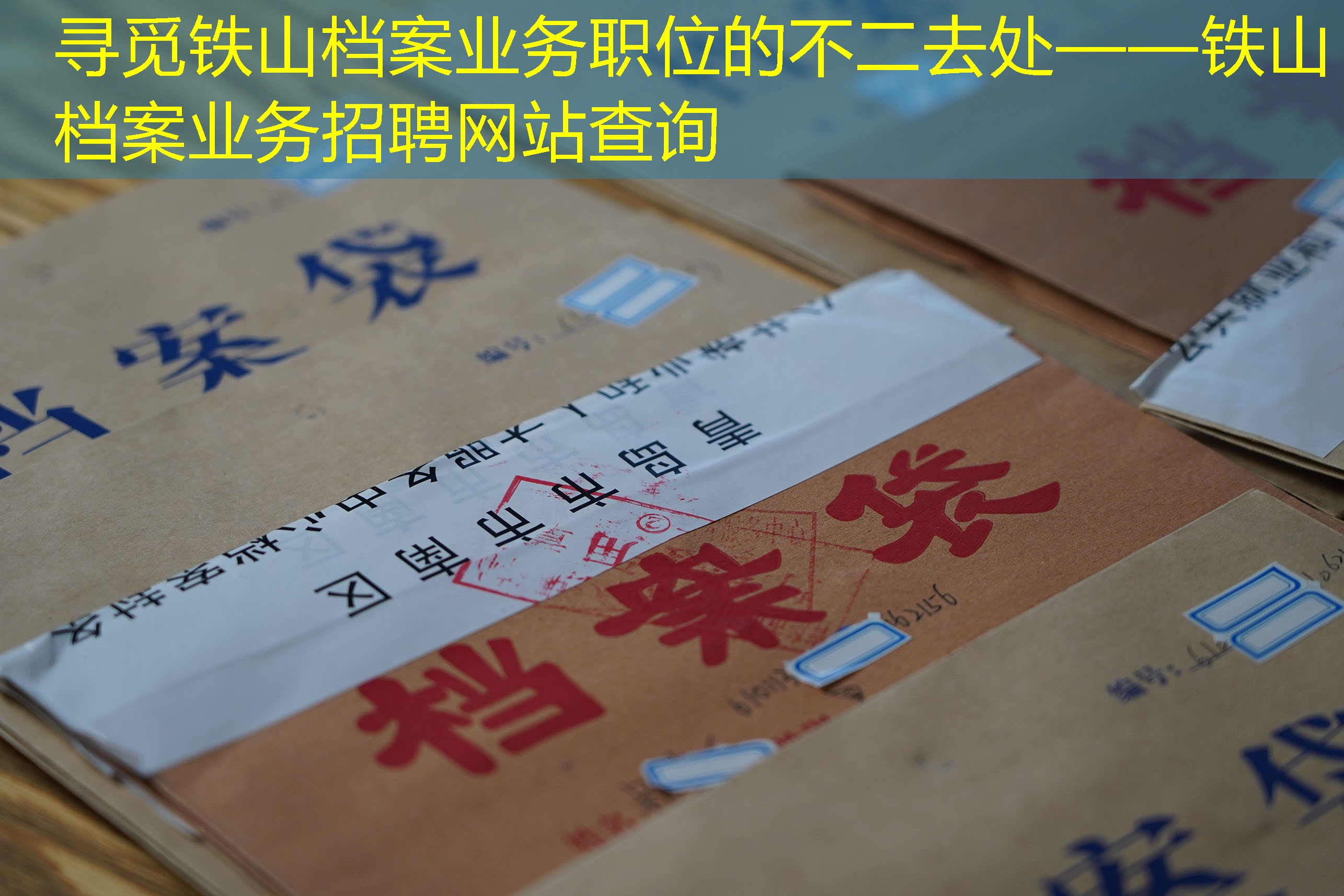 档案查询