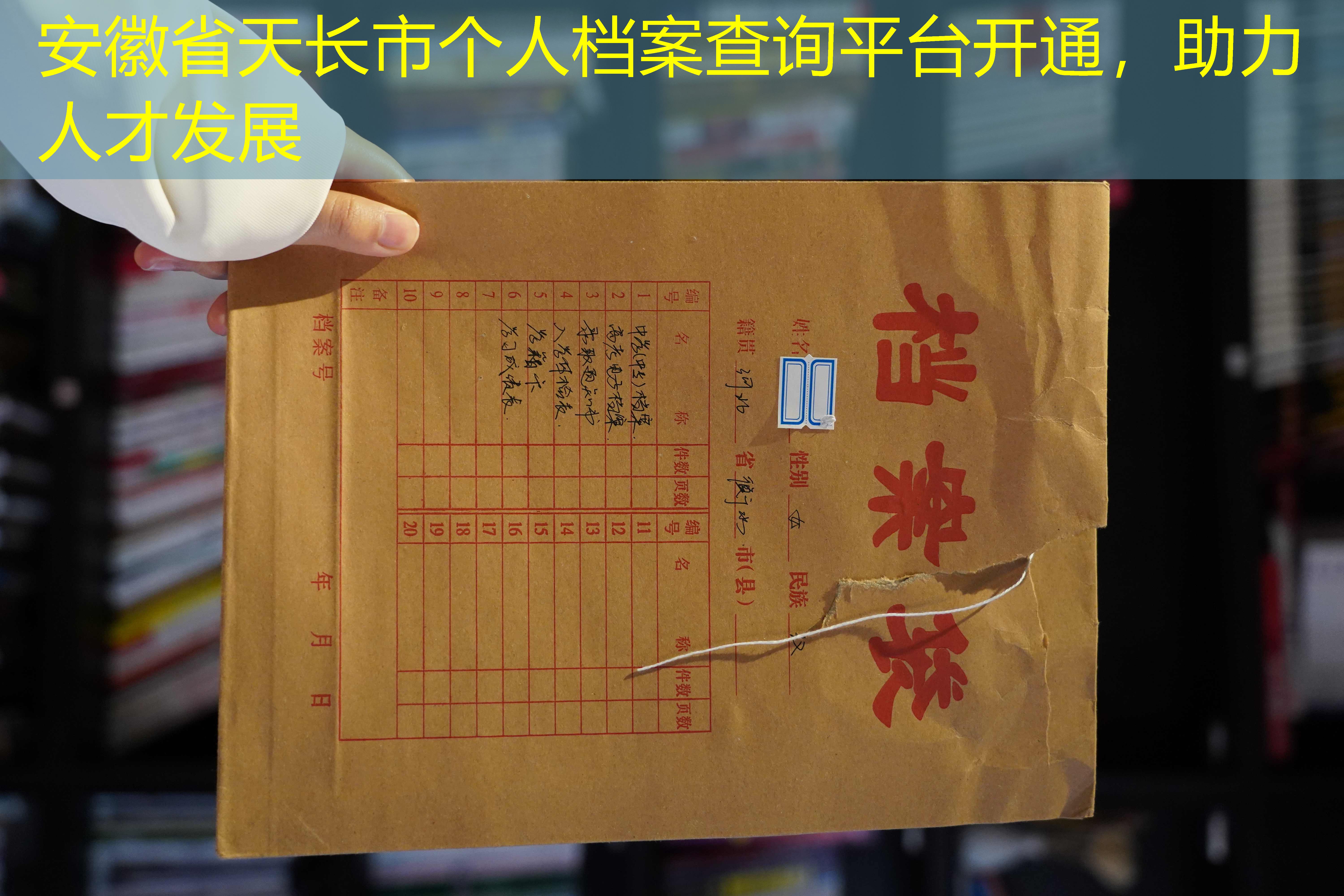 档案查询