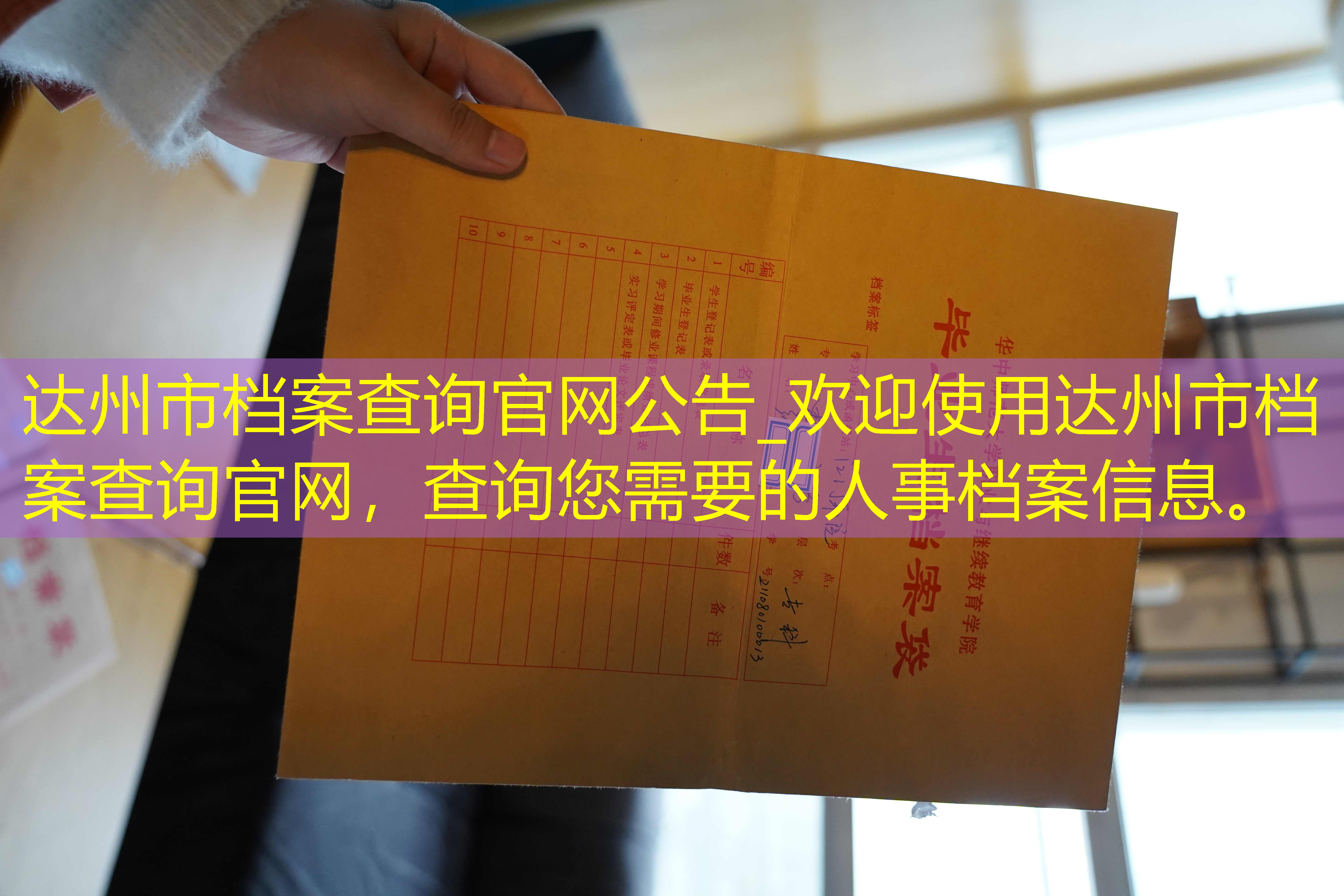 档案查询