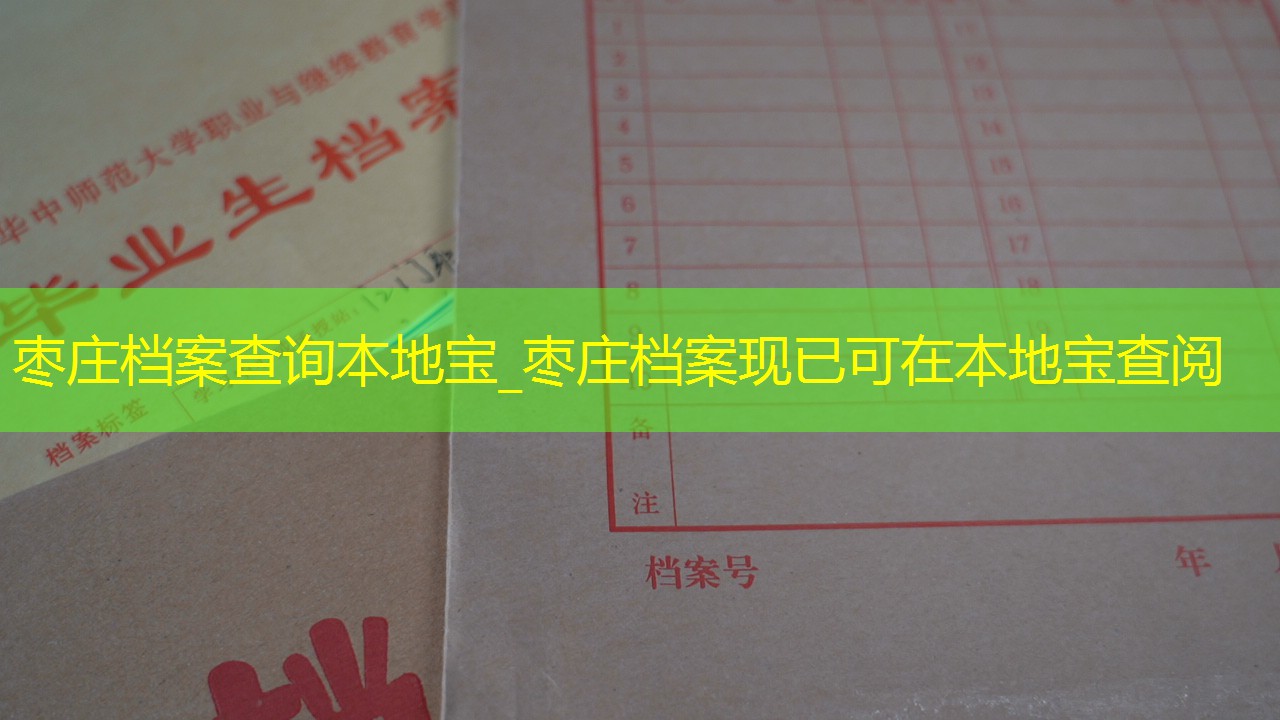 档案查询