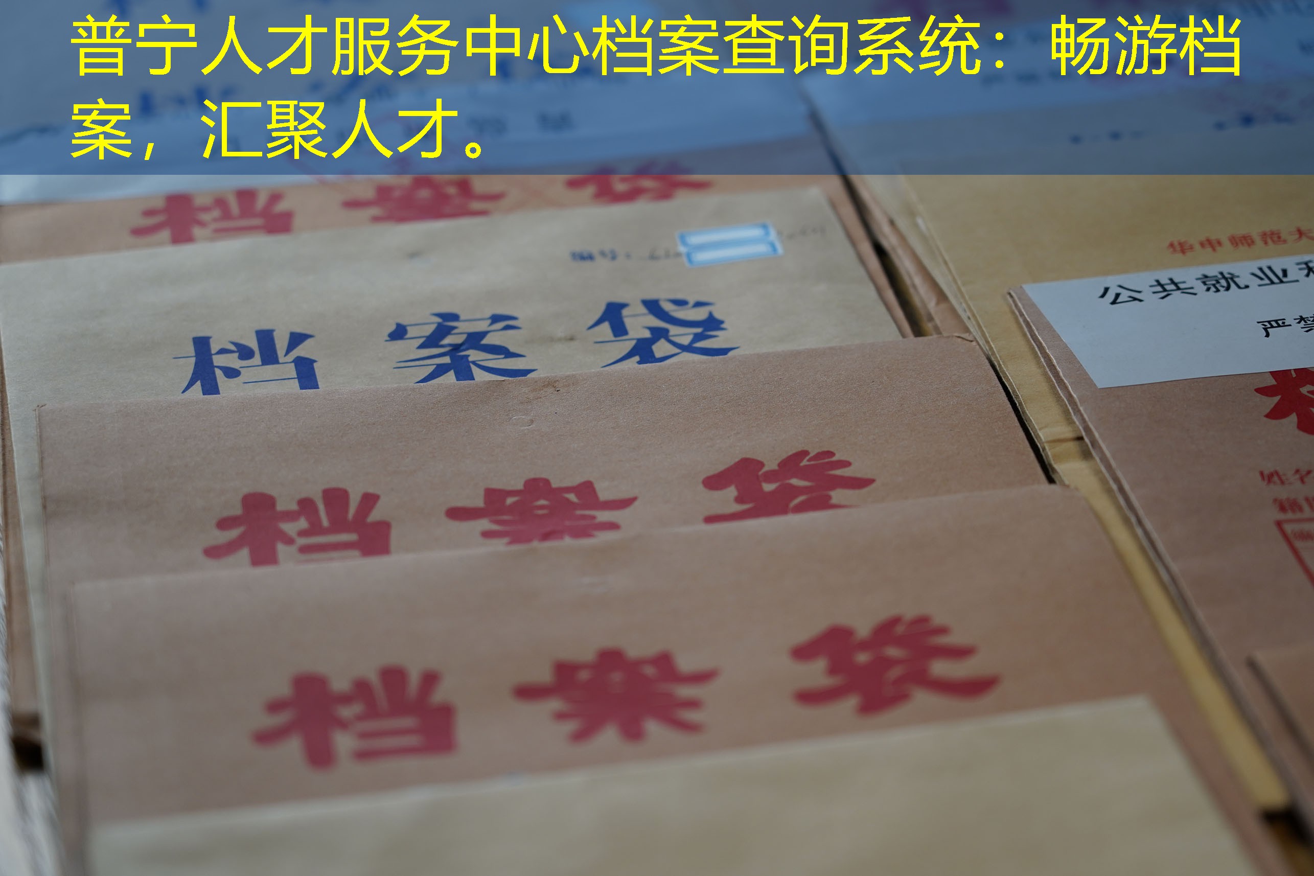 档案查询