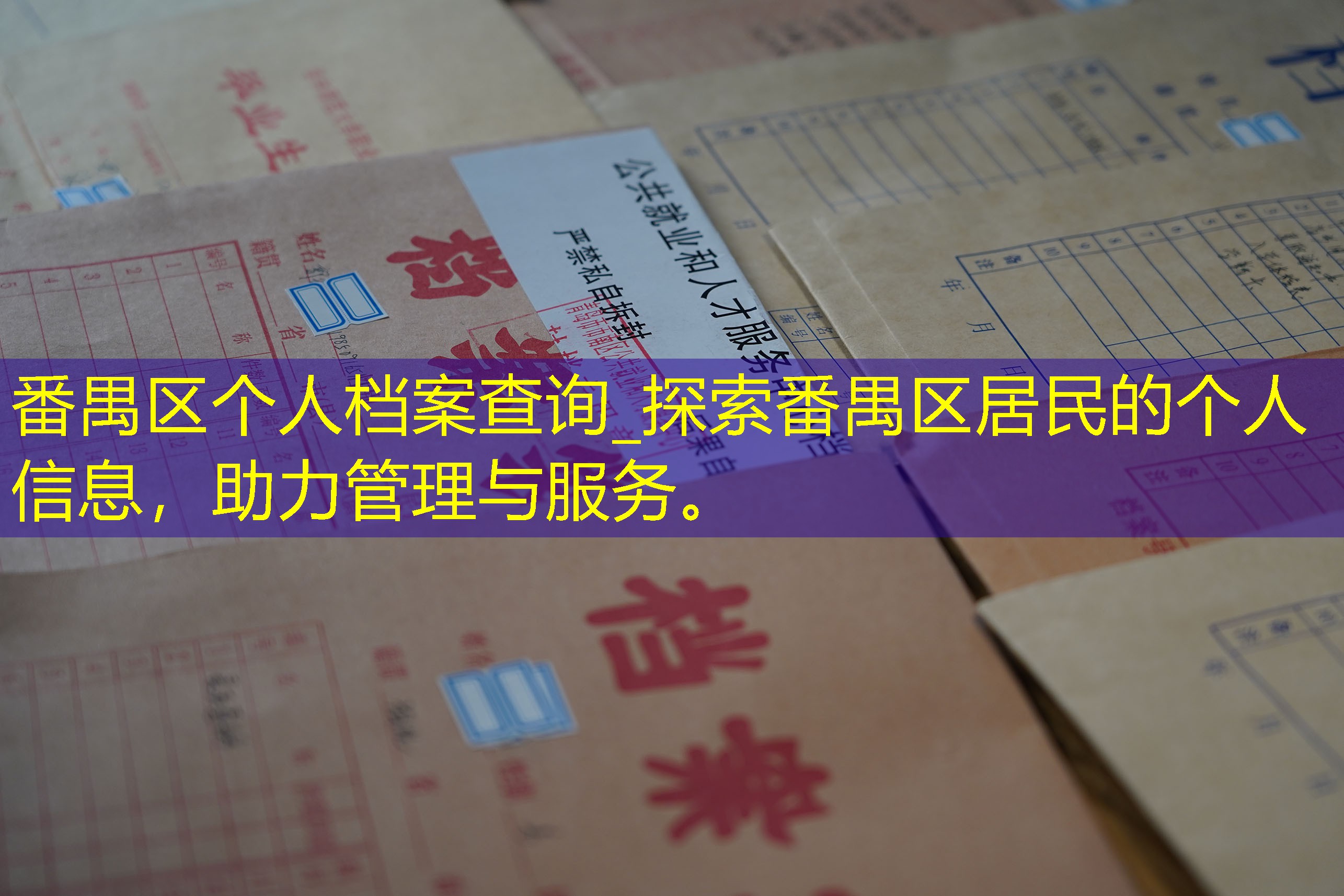 档案查询
