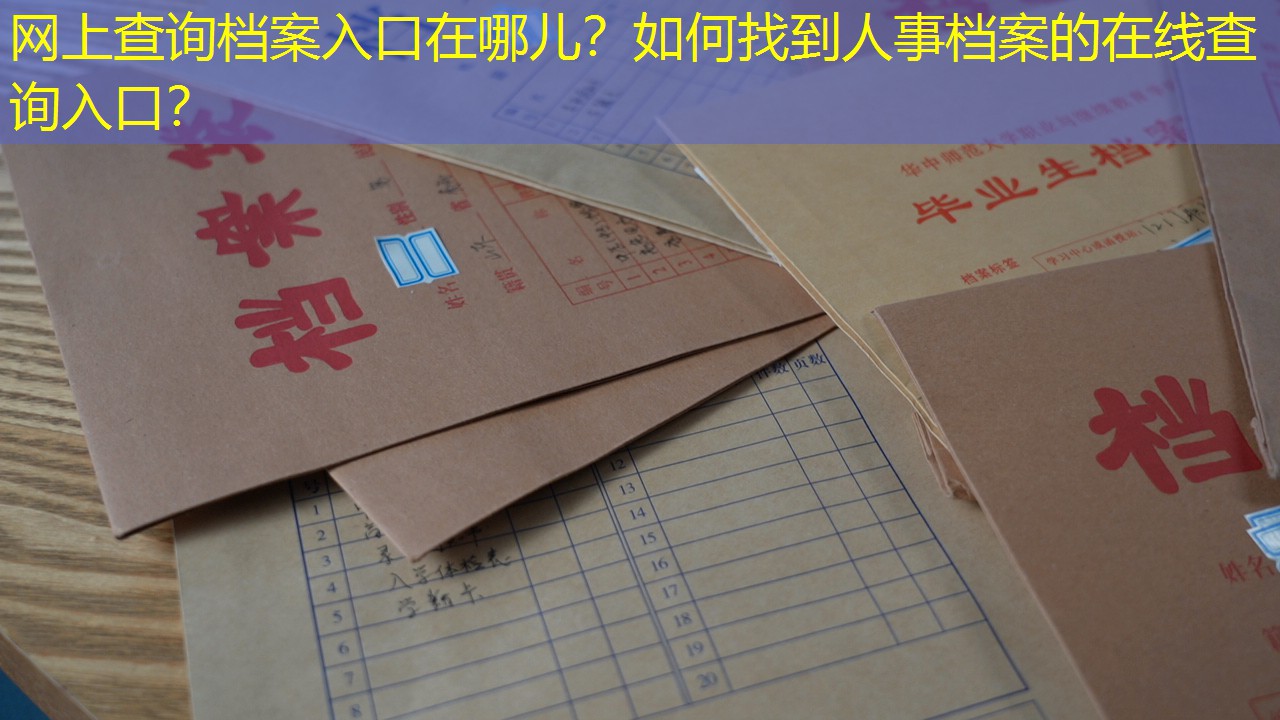 档案查询