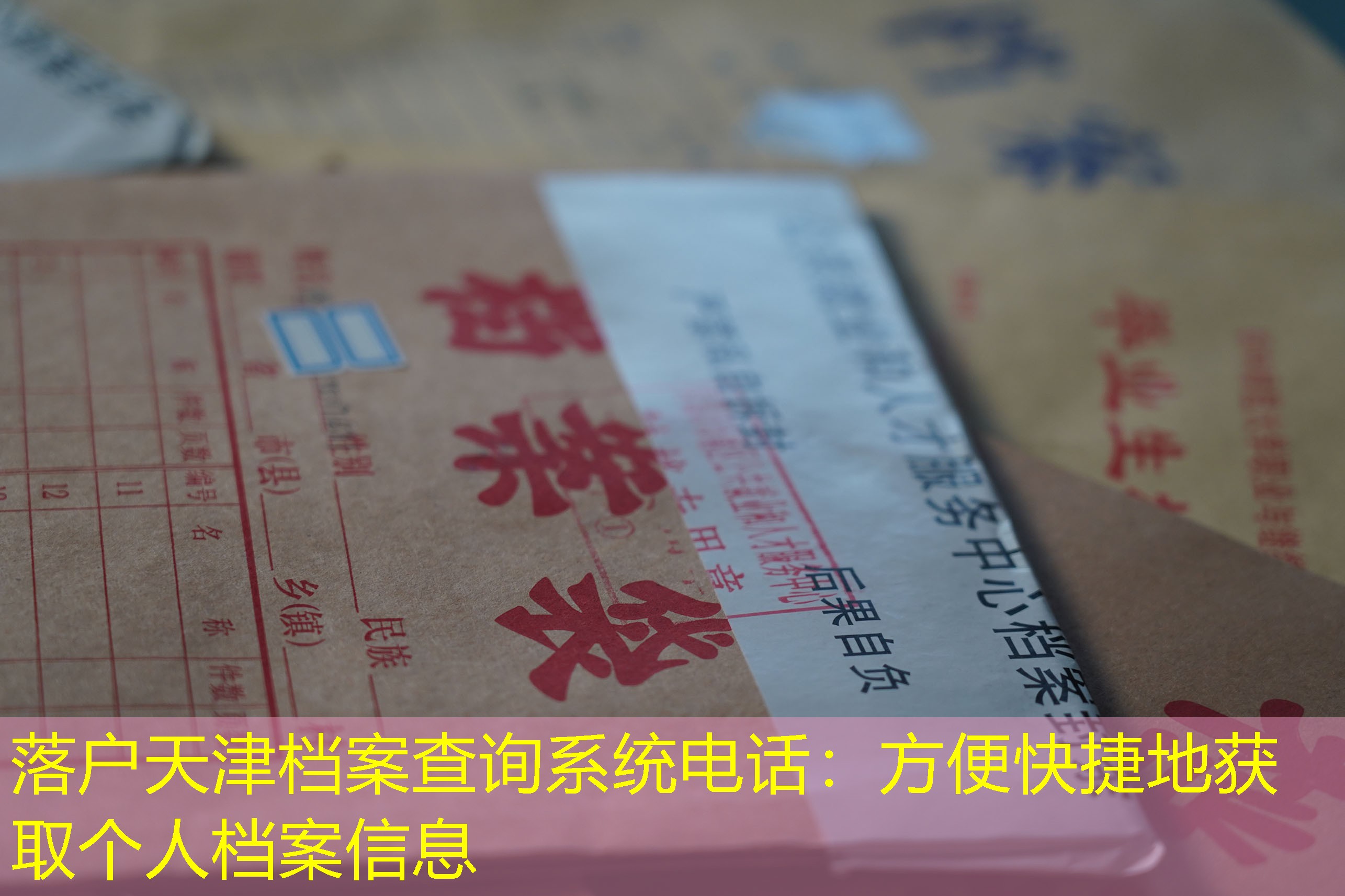 档案查询
