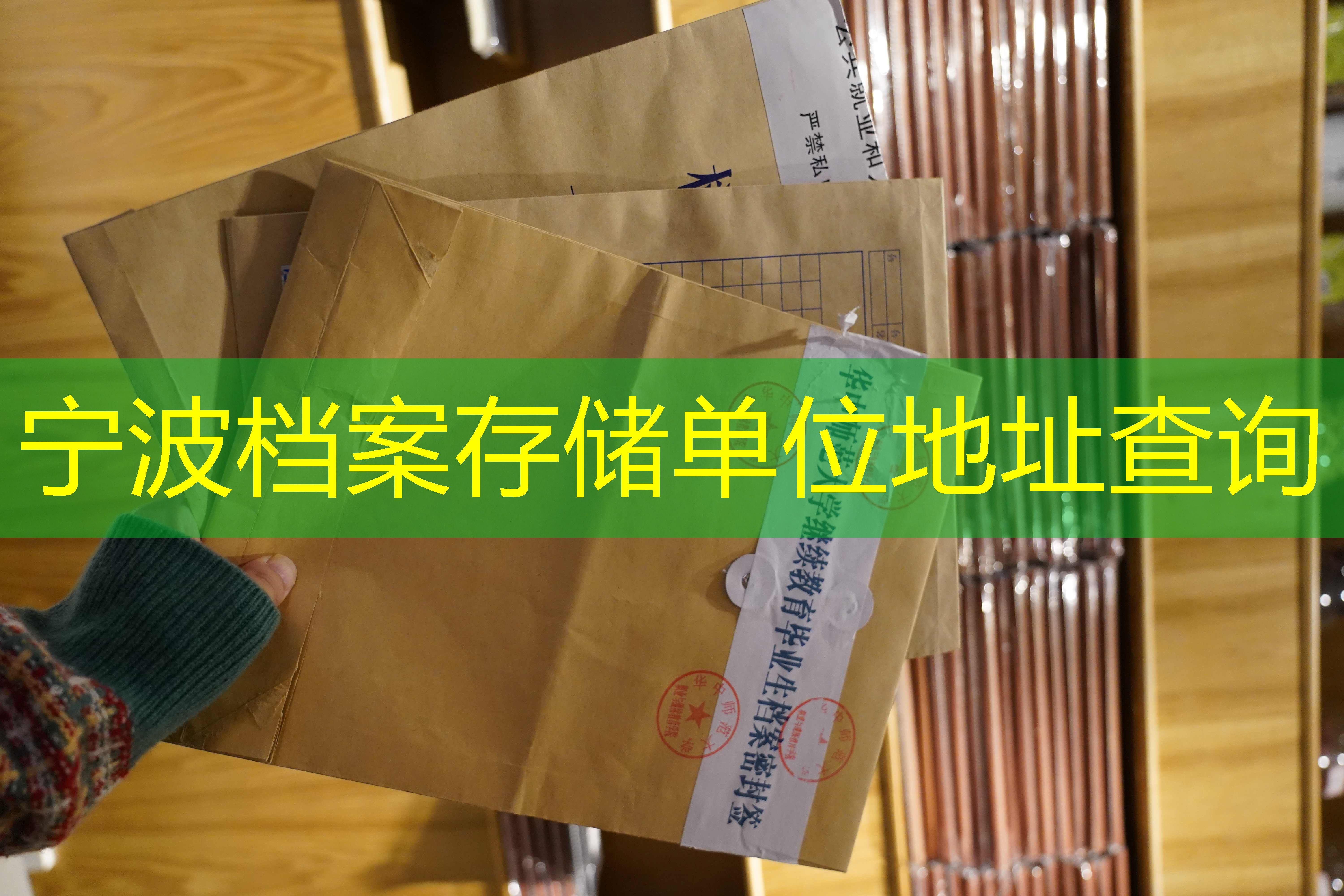 档案查询