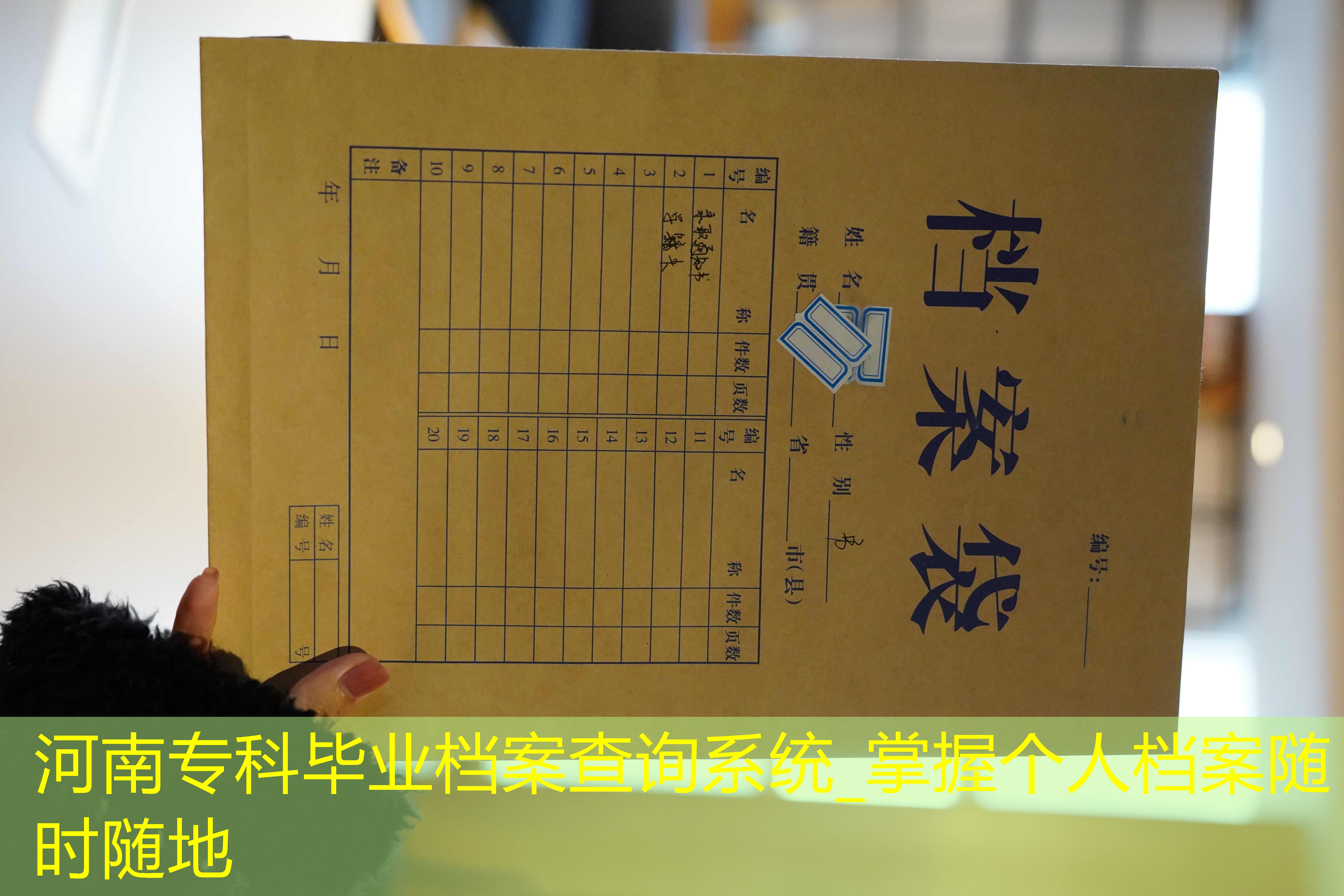 档案查询