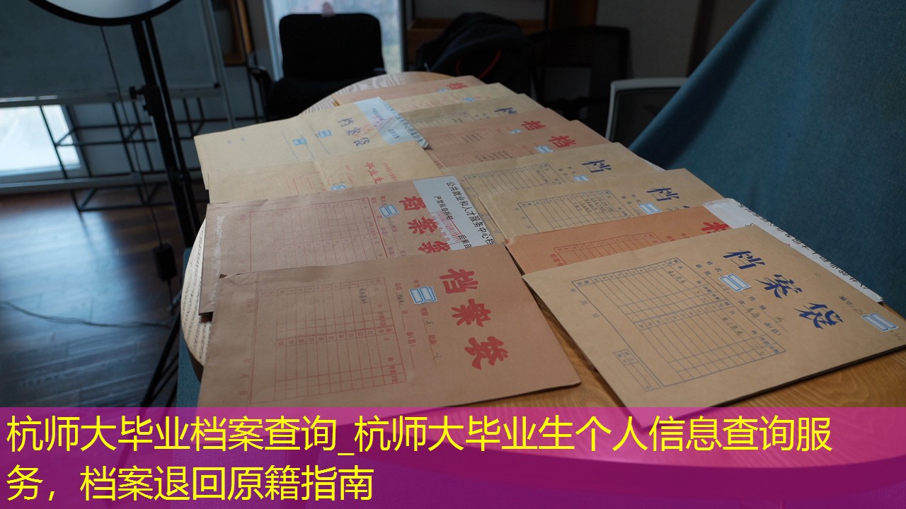 档案查询