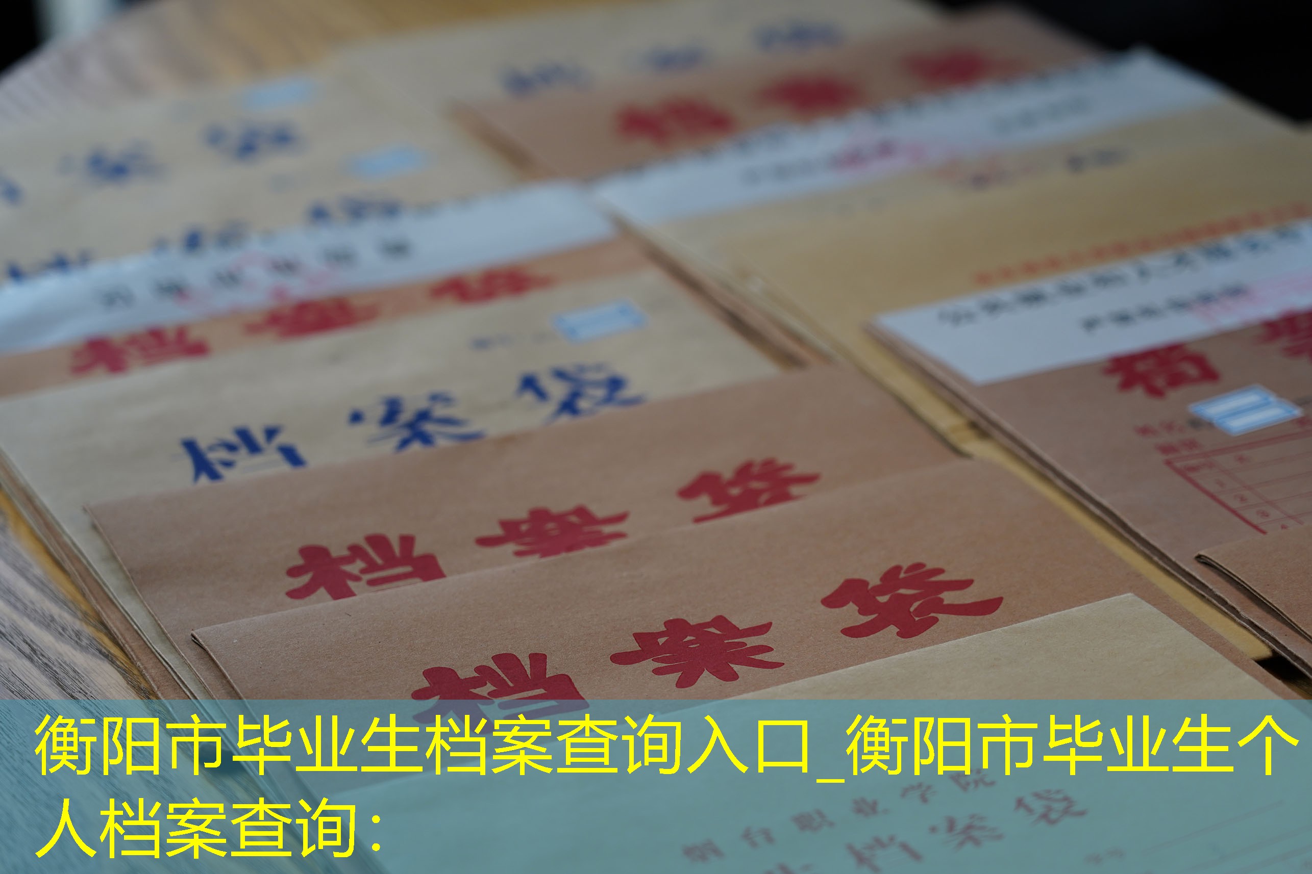 档案查询