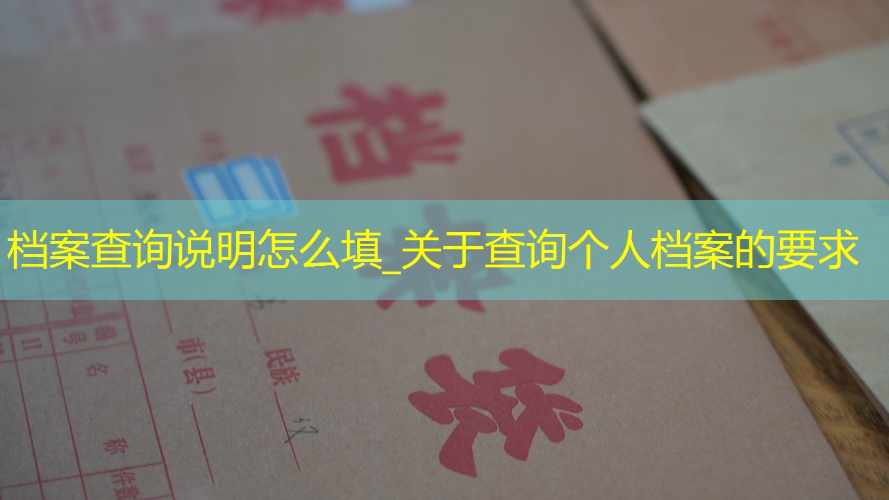 档案查询