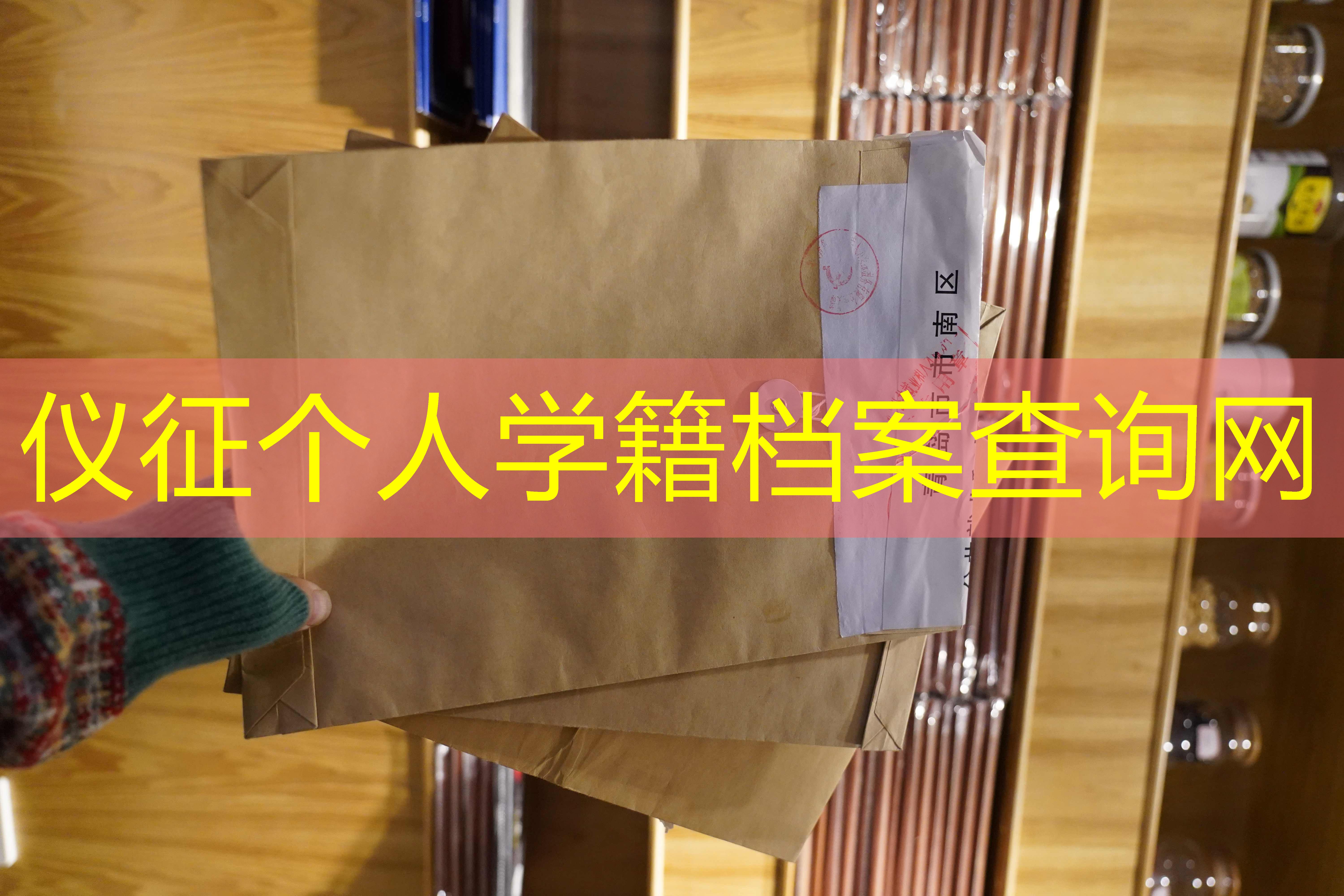 档案查询