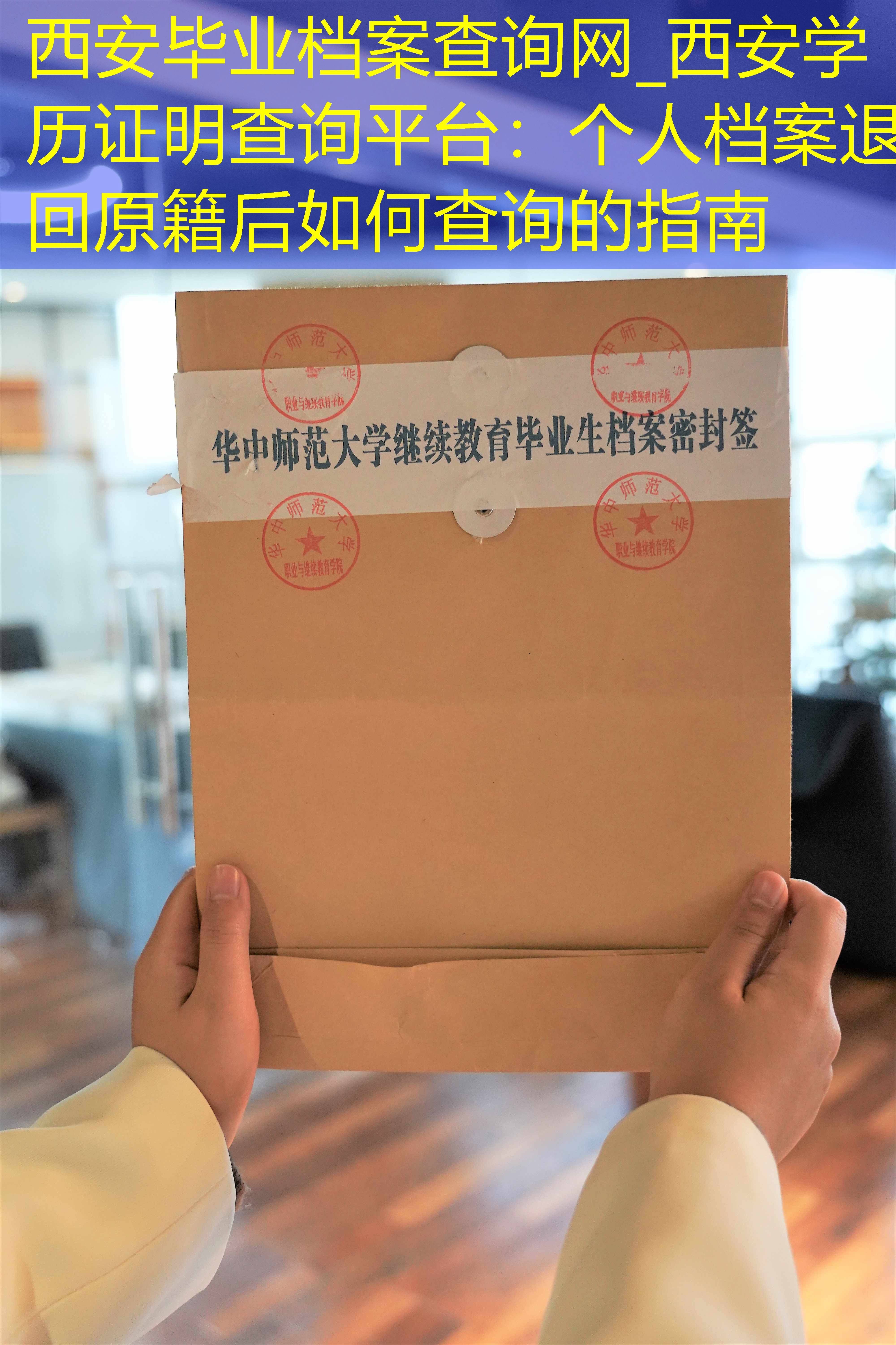 档案查询