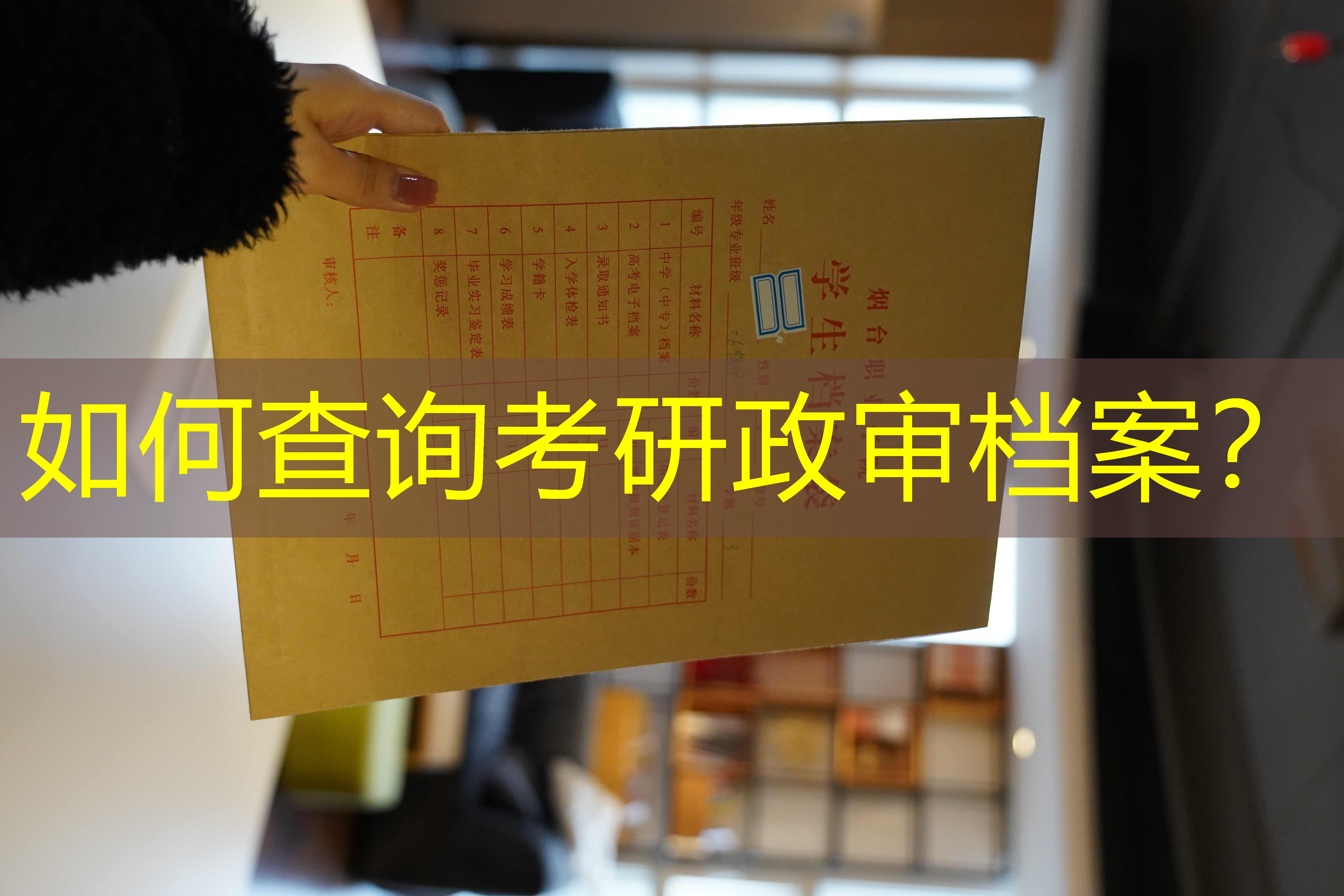 档案查询