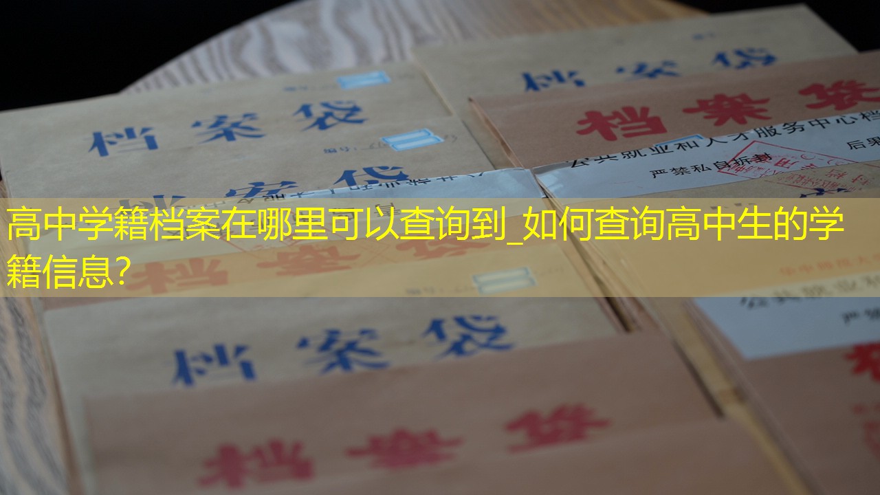 档案查询