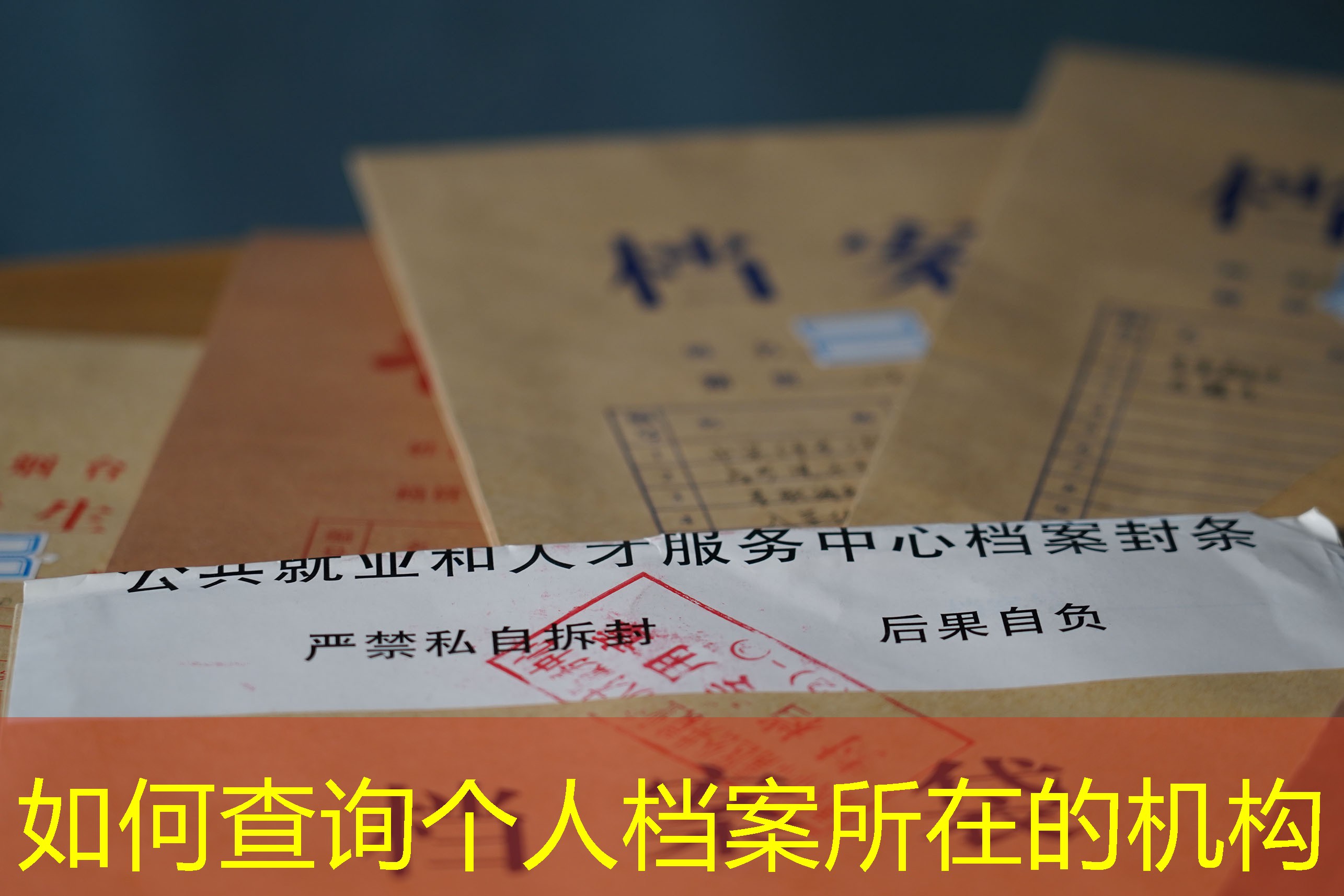 档案查询