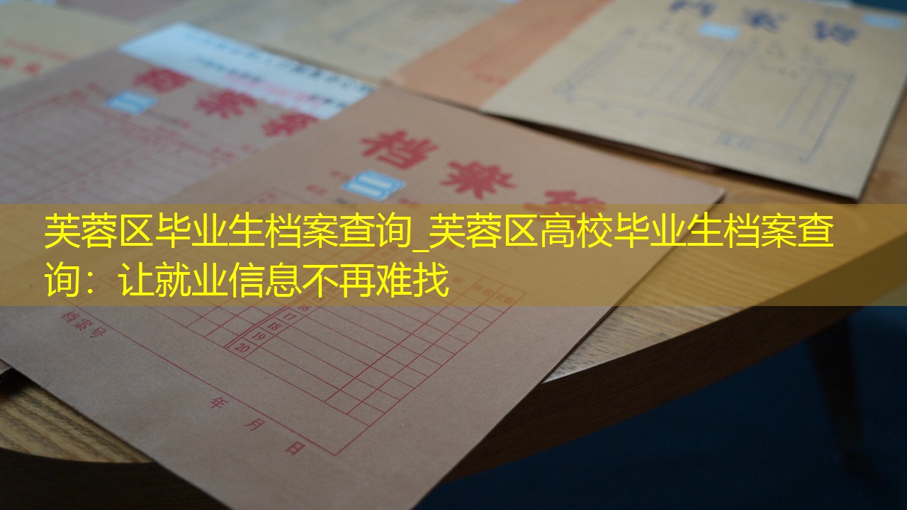 档案查询