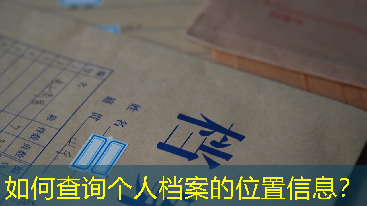 档案查询