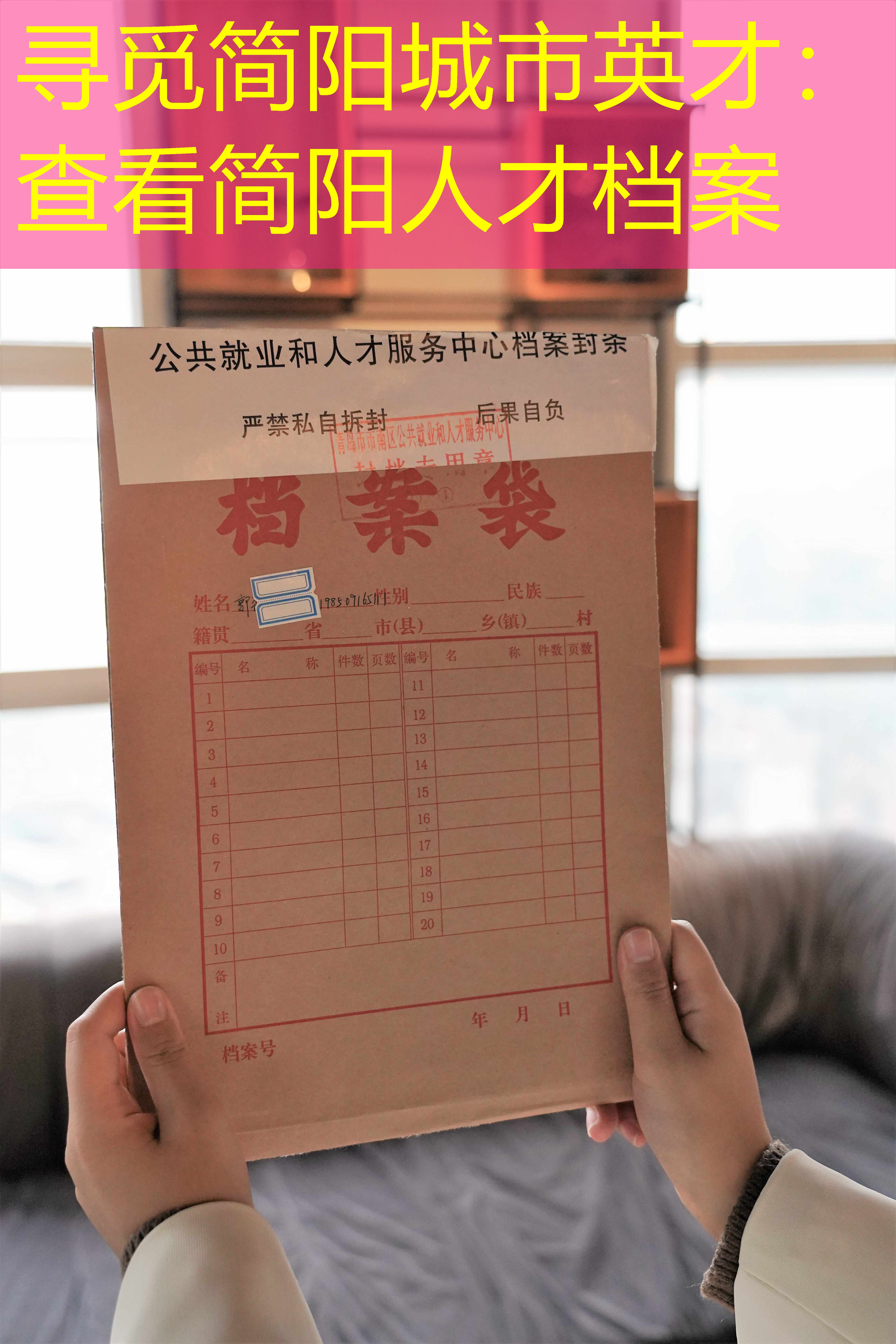 档案查询