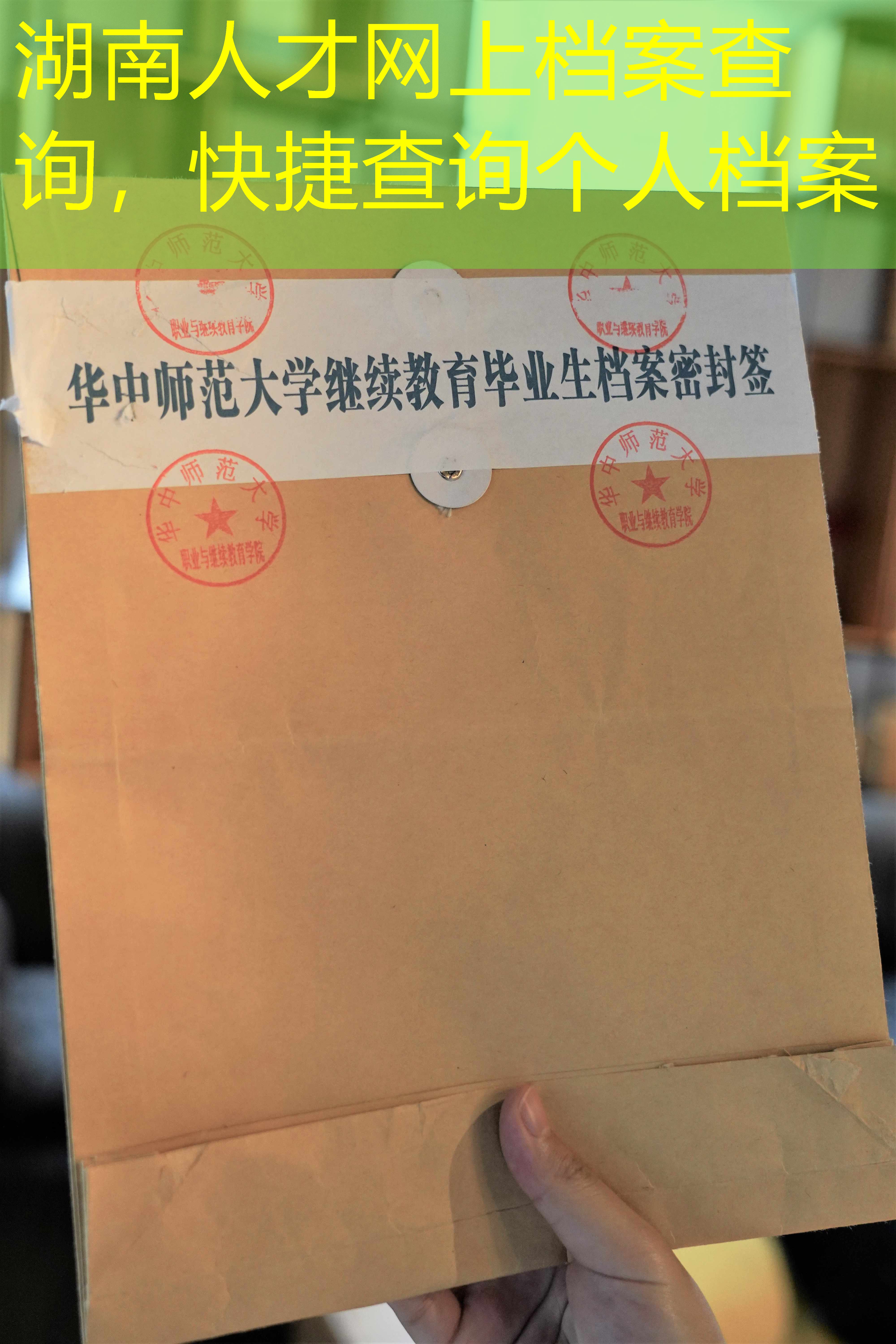档案查询