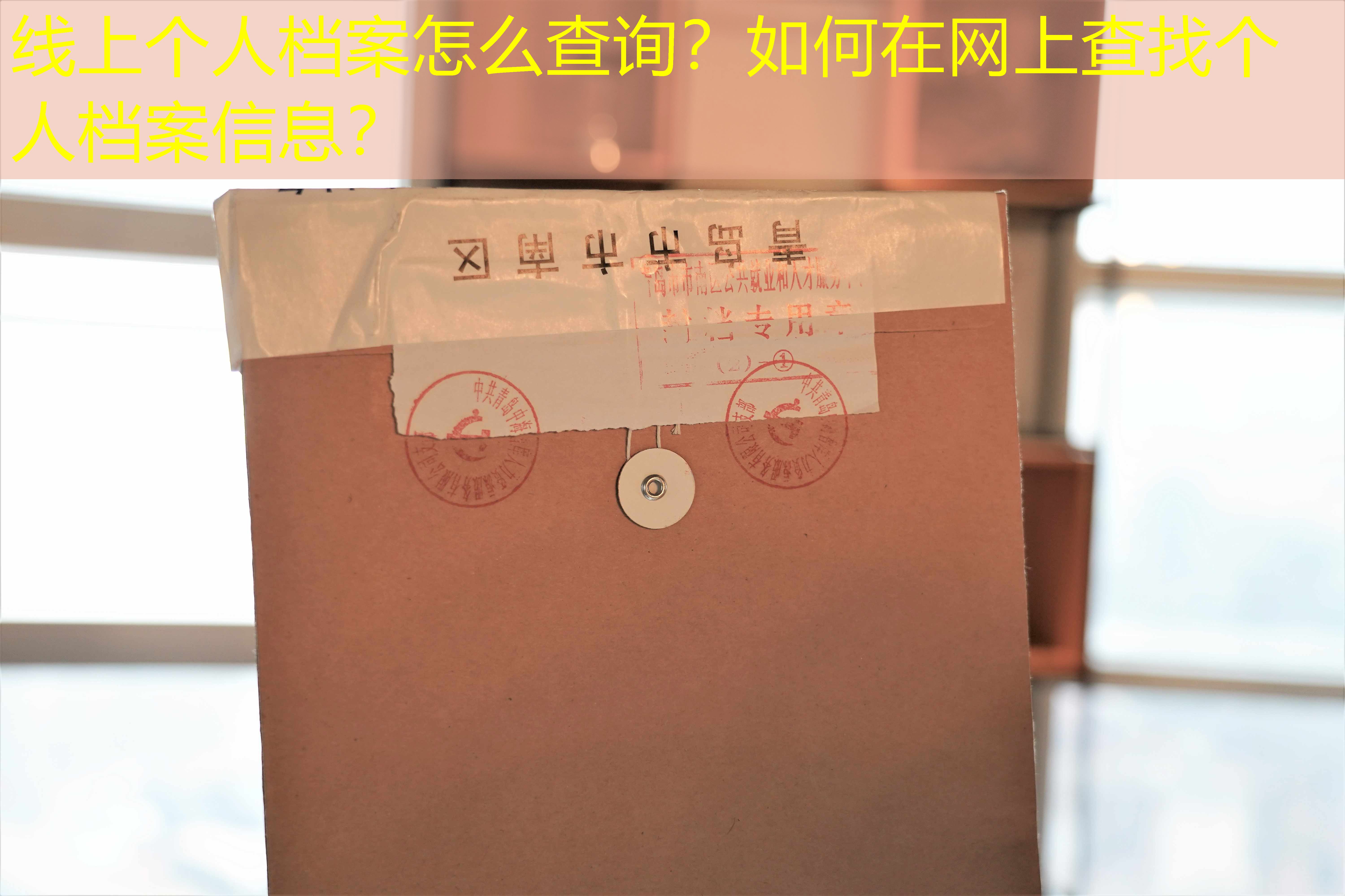 档案查询