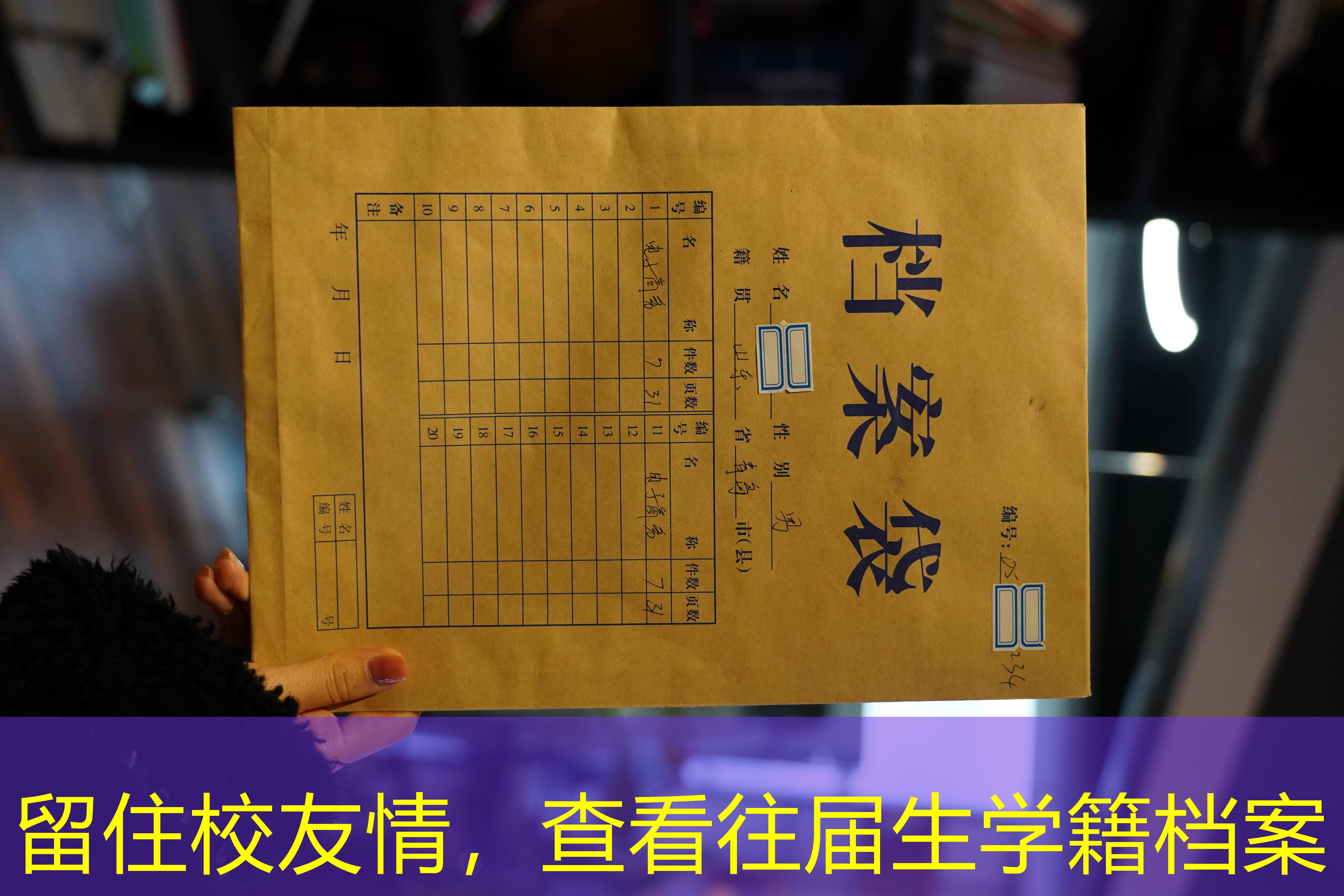 档案查询