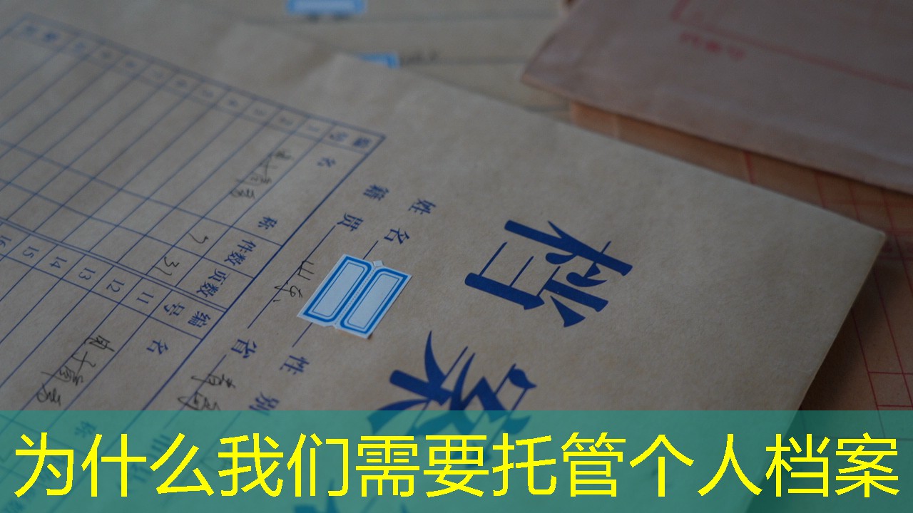 档案查询