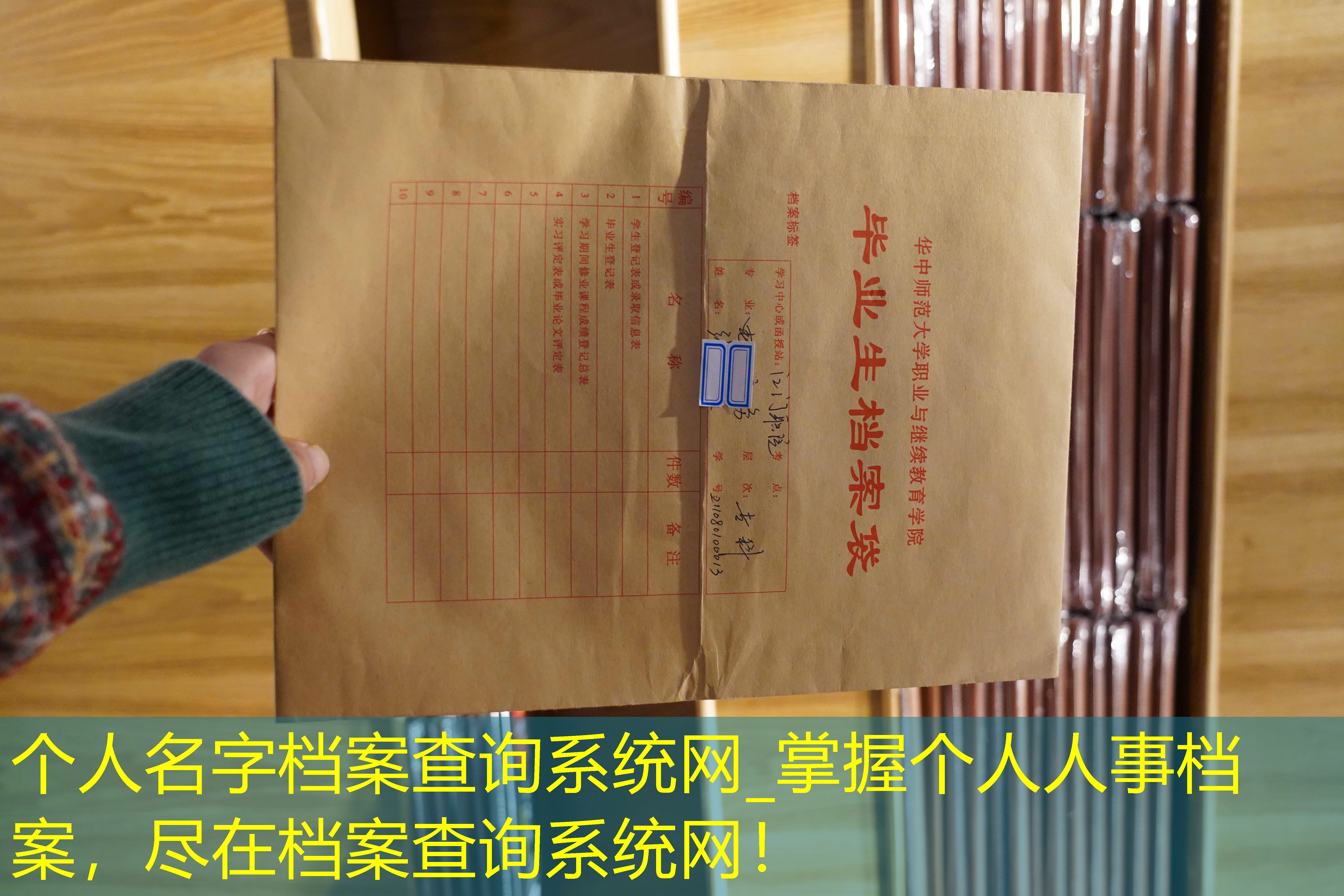 档案查询