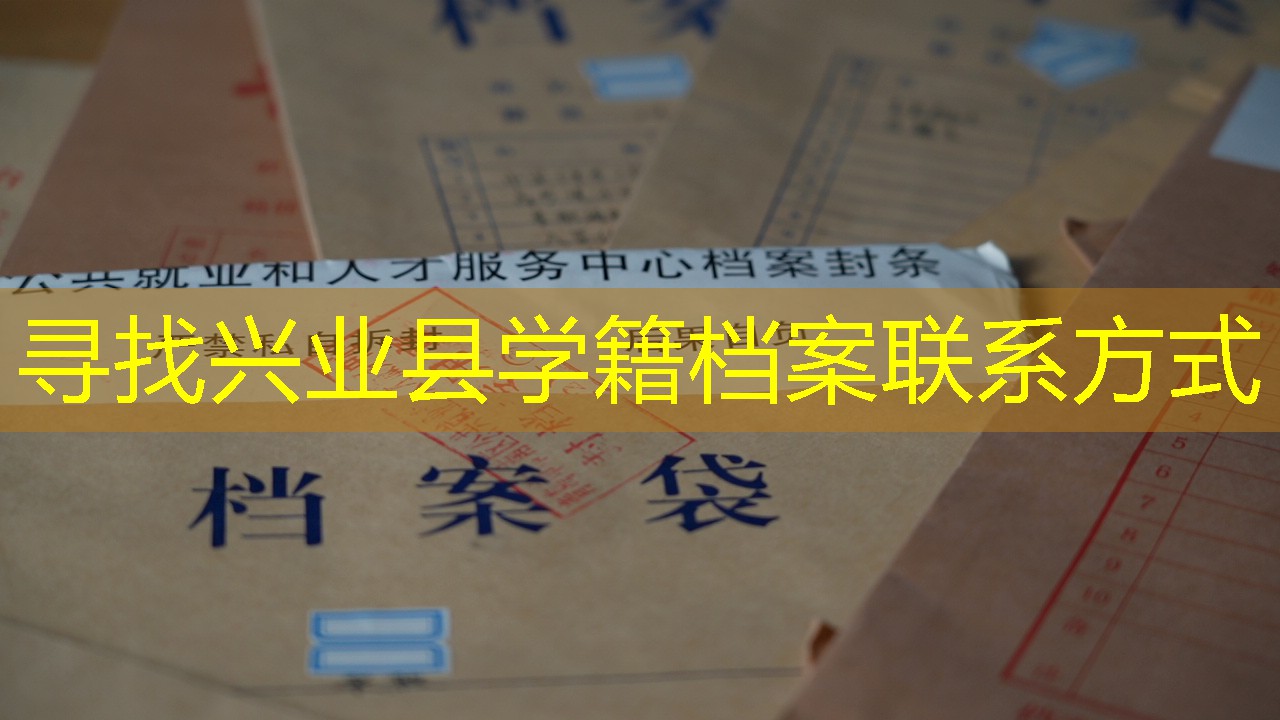 档案查询